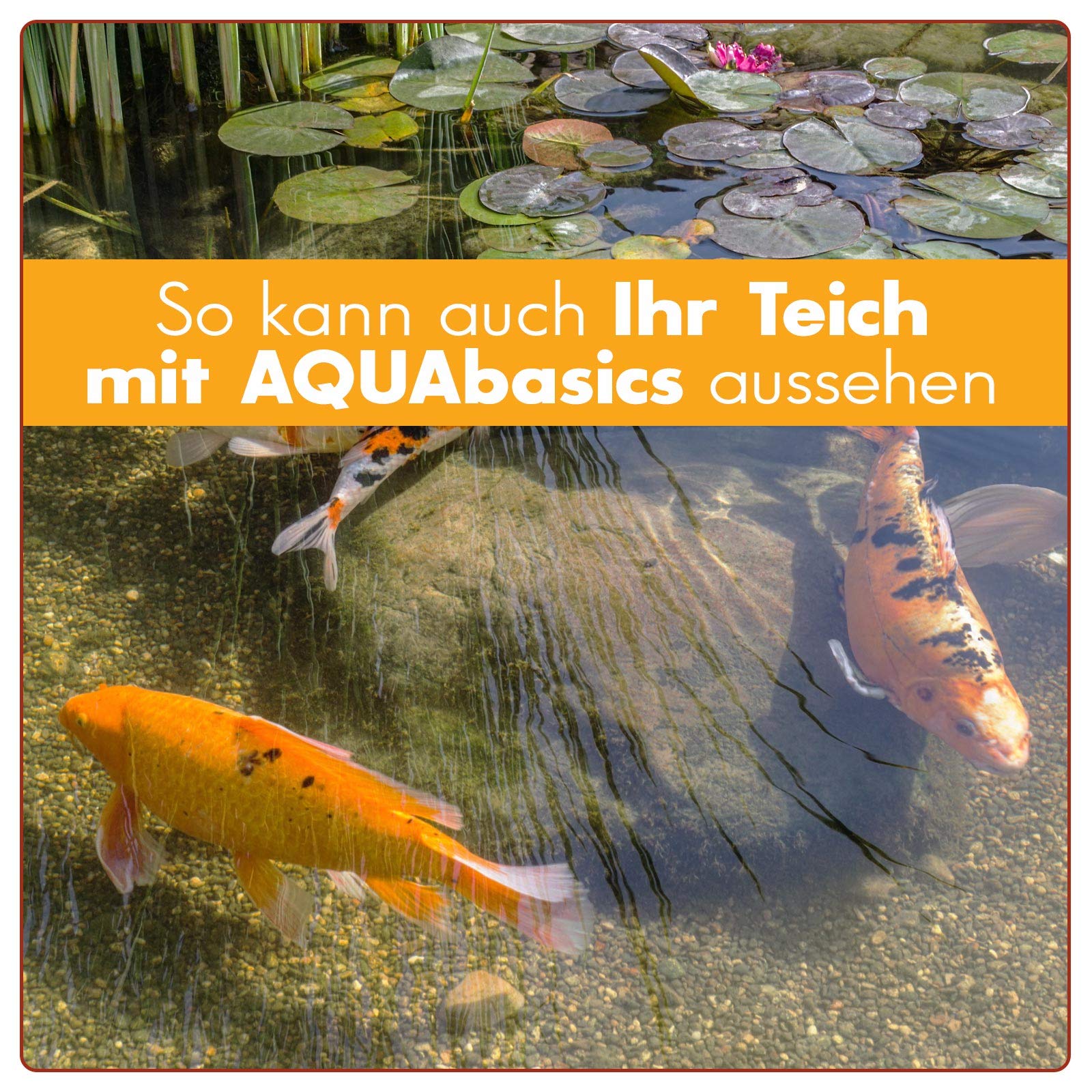 AQUAbasics Gartenteich Teichschlamm-Entferner baut im Teich Schlamm, Mulm und Organische Stoffe (Blätter) natürlich ab, Größe:2.5 kg