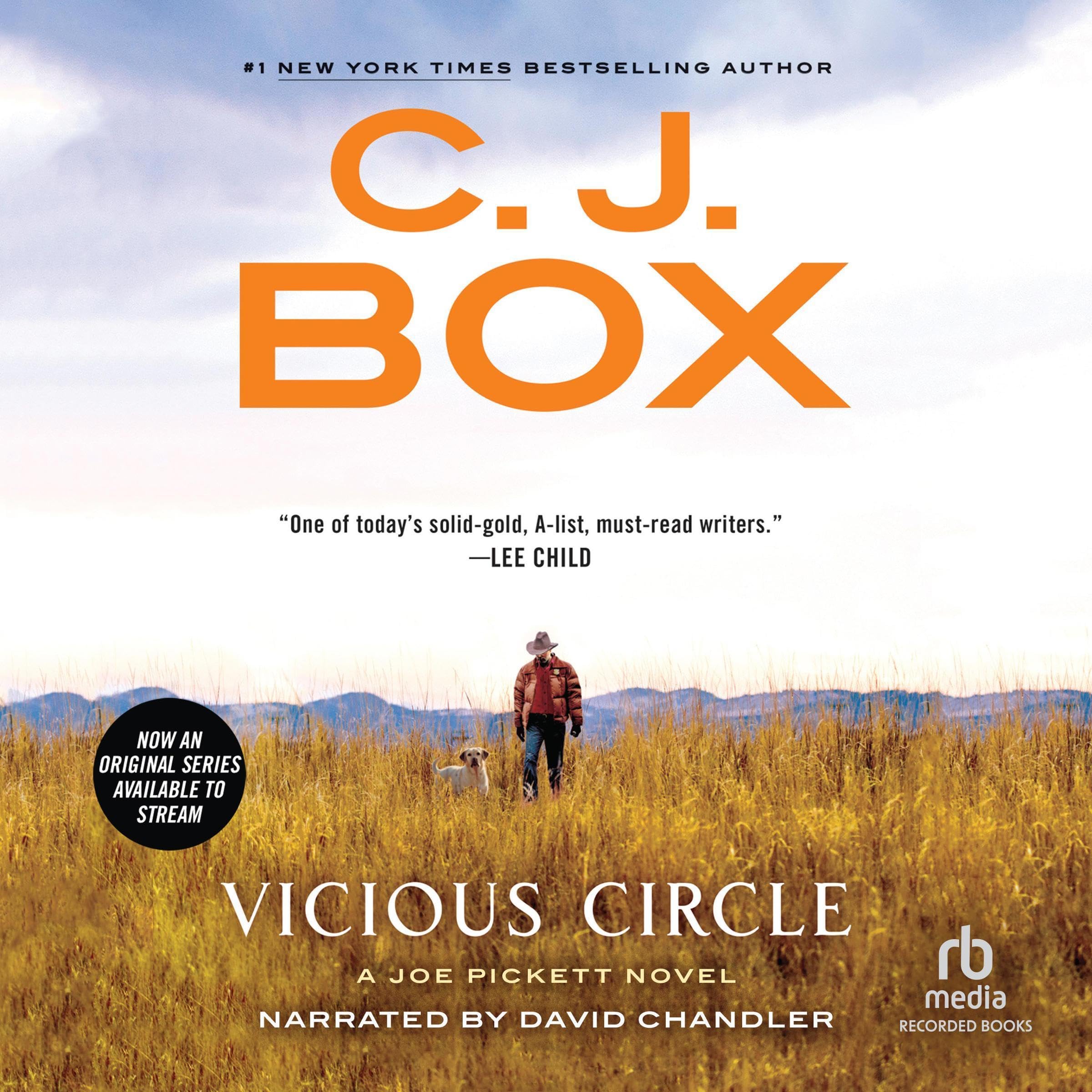 Cover art for Vicious Circle