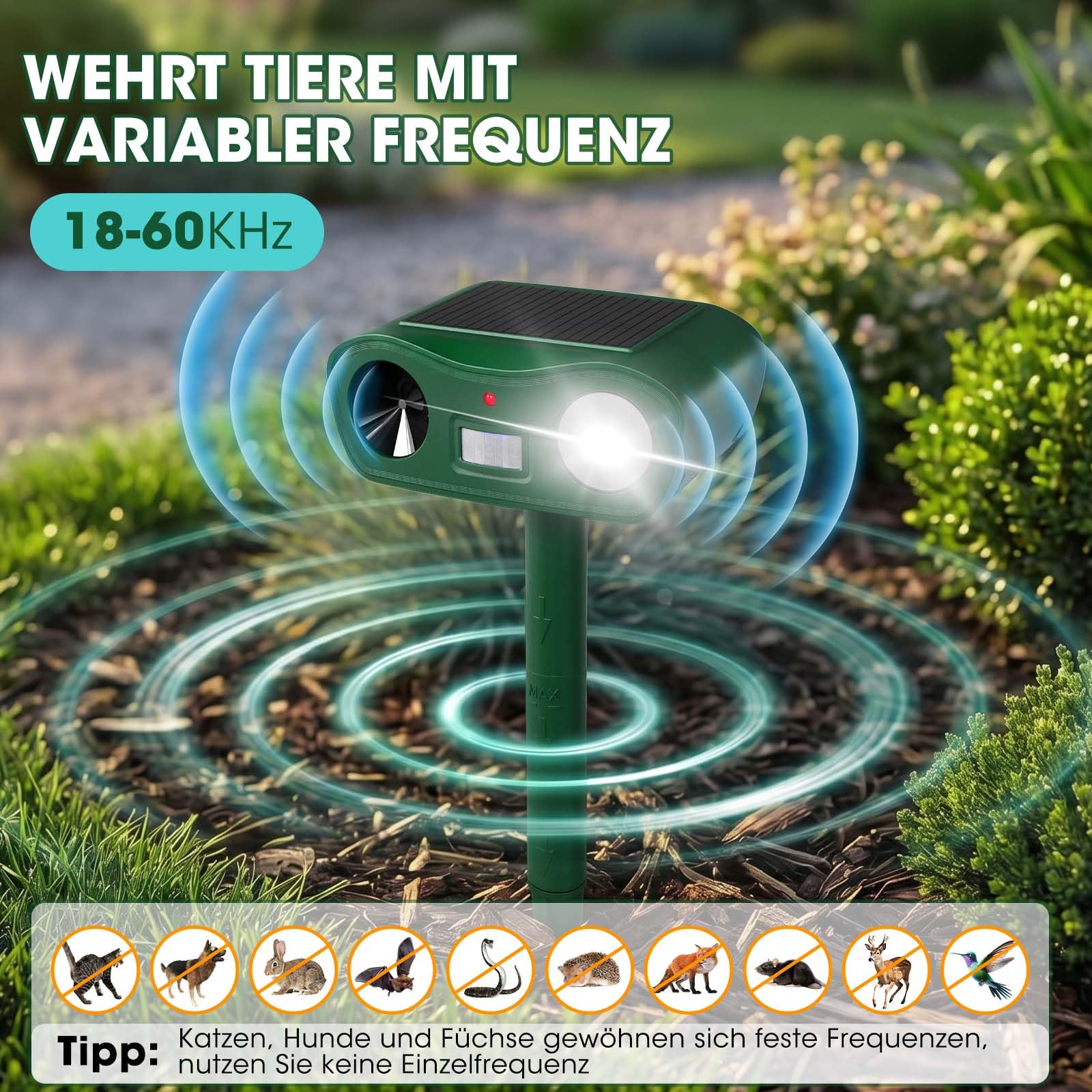 Katzenschreck Ultraschall, Solar Tiervertreiber und Blitz, Maulwurf vertreiber, Katzenabwehr für Garten, Wirksam Gegen Katzen, Hunde, Marder, und Vögel Schädlineg, 4-teiliges Set