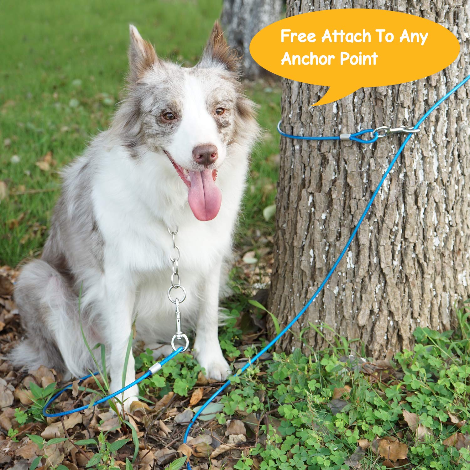 Petphabt Piquet pour chien et câble d'attache robuste avec piquet en spirale de 40,6 cm pour chiot et animal domestique Bleu sarcelle 10 m