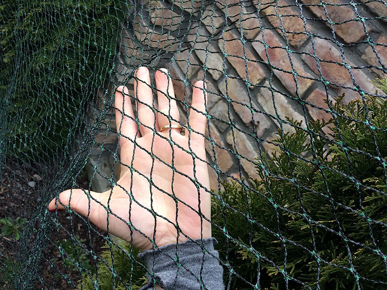 15*15M~Vogelschutznetz Teichnetz Obstbaumnetz Schutznetz Viele - Foto 10