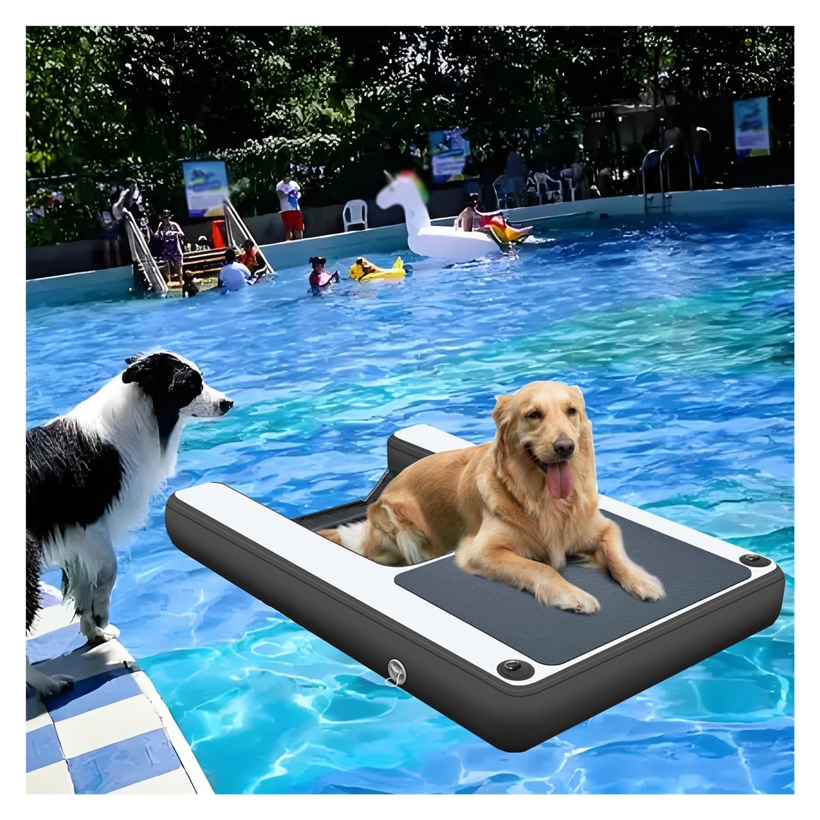 Collapsible Dog Pool Ramp, Anti-Slip Water Platform with Accessories for Safe Swimming