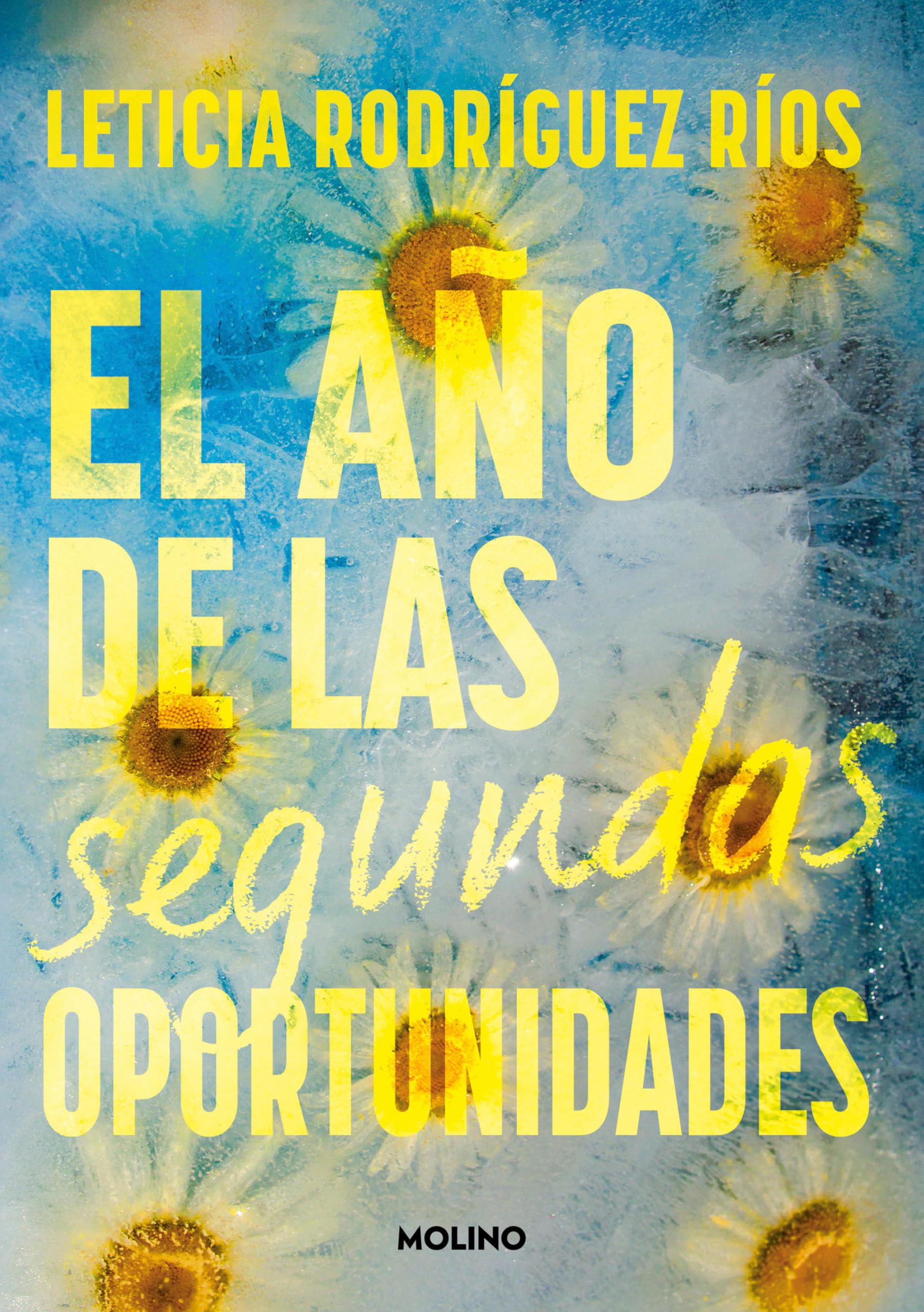 El Año de Las Segundas Oportunidades / The Year of Second Chances (Ficción)