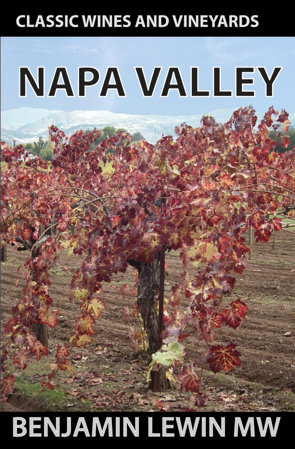 Napa Valley (Guides to Wines and Top Vineyards)