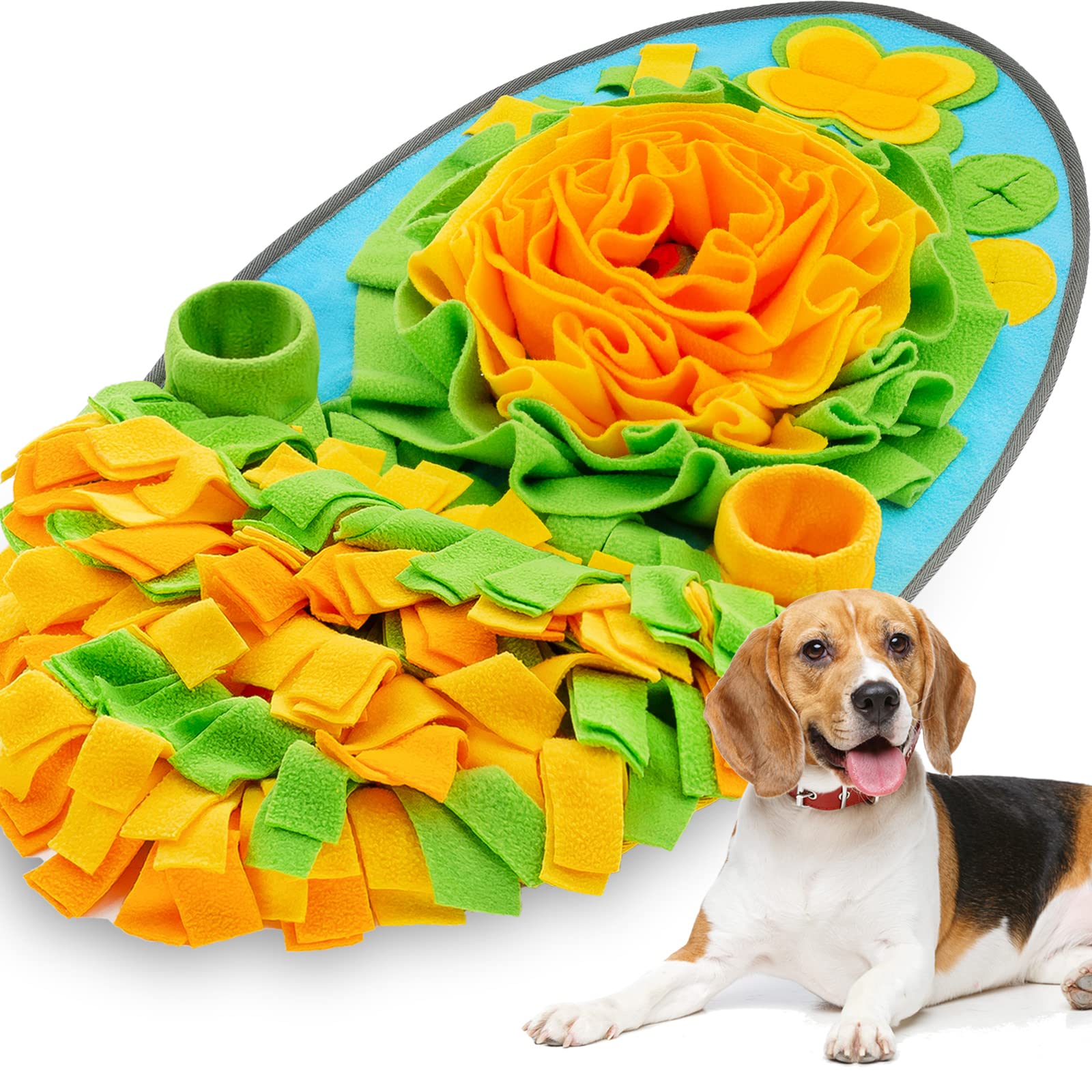 Do Cats Sniff Like Dogs