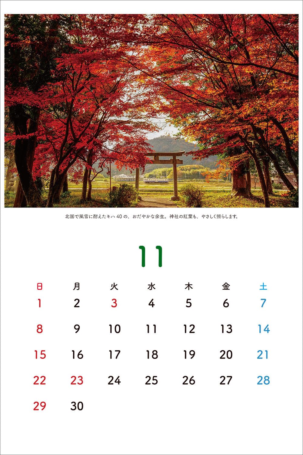 Amazon | 鉄道写真家 中井精也1日1鉄！カレンダー2026【直筆サイン入り