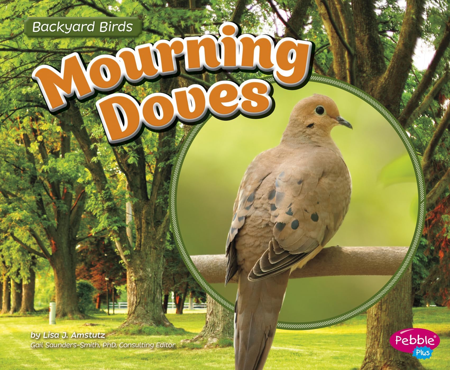 Mourning Doves (Backyard Birds) Paperback – December 31, 2015