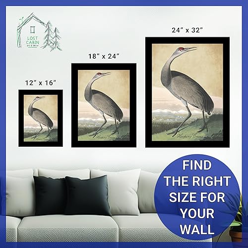 Miniatura 6 de Hooping Crane de James Audubon - Marco biselado negro de 12 x 16 pulgadas  Decoración artística enmarcada  Reproducción de pintura de arte fino