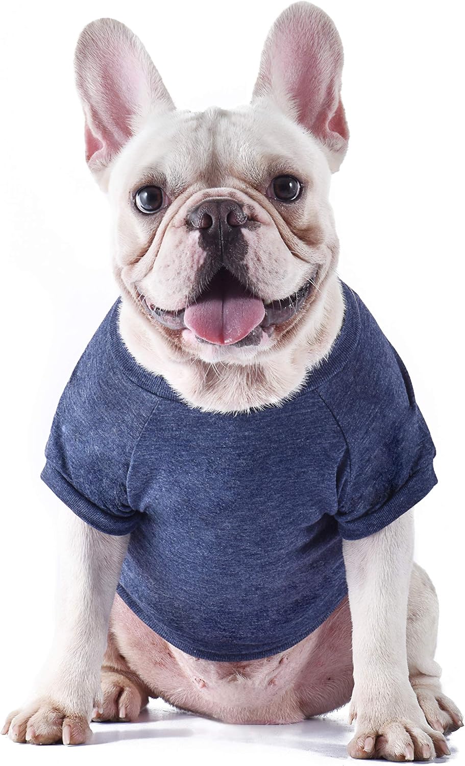 Star Wars for Pets "This Is How I Roll" Dog Tee | Star Wars Dog Shirt for Large Dogs | Size X-Large | Soft, Cute, and Comfortable Dog Clothing and Apparel : Pet Supplies