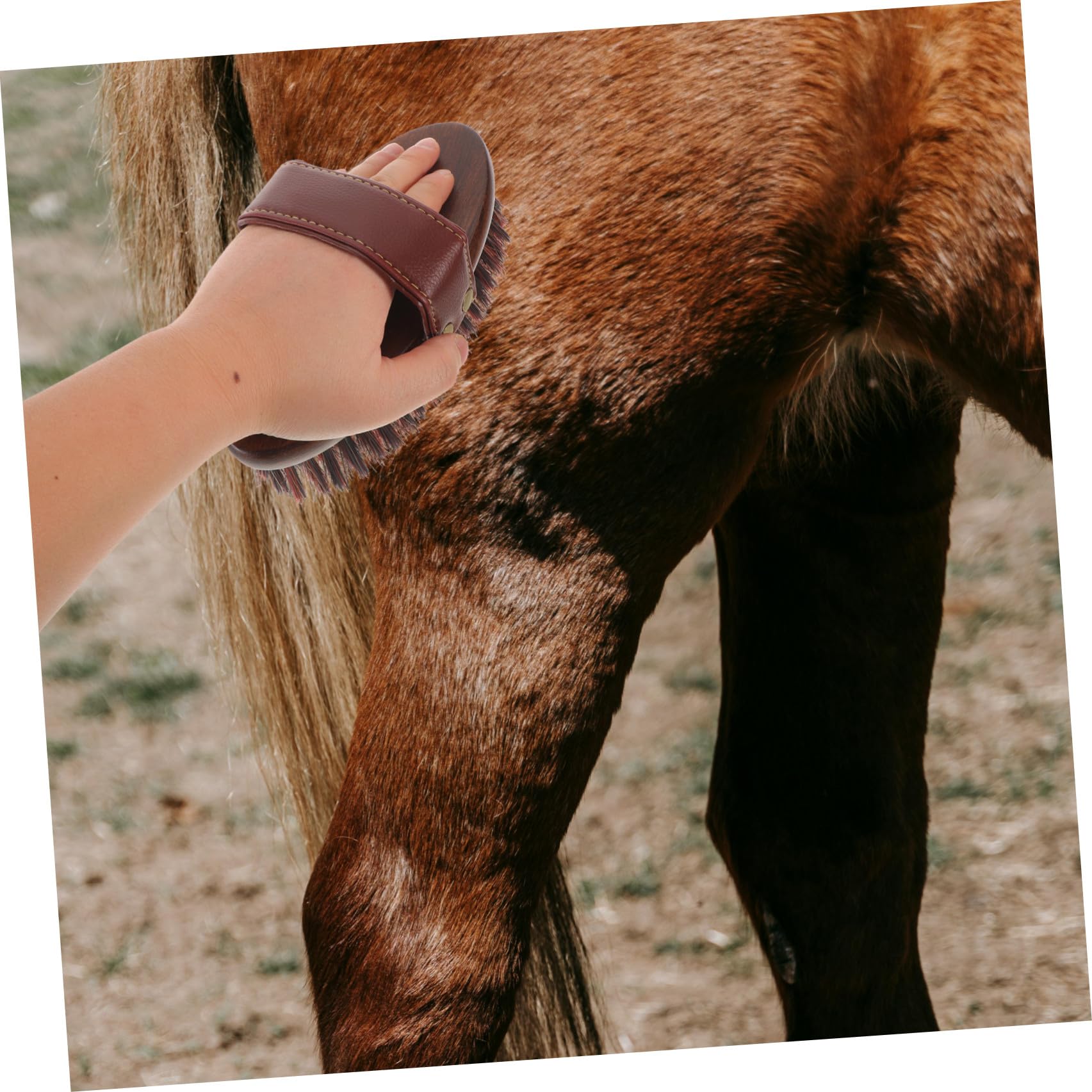 ibasenice Cepillo para Caballos Ovalado de Madera y Fibras Mixtas con Agarre de Cuero Pu para Limpieza Profunda y Estimulación Circulación en Necesidades Ecuestres