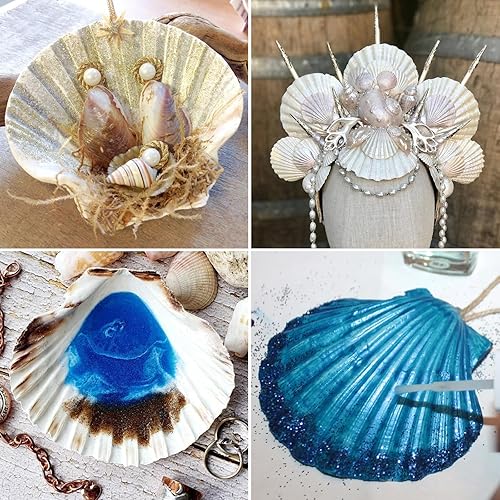 Miniatura 5 de QEQEKAKA 8 conchas marinas para manualidades de 3 a 4 pulgadas, conchas de vieira hawaianas blancas naturales para hornear, manualidades, relleno de