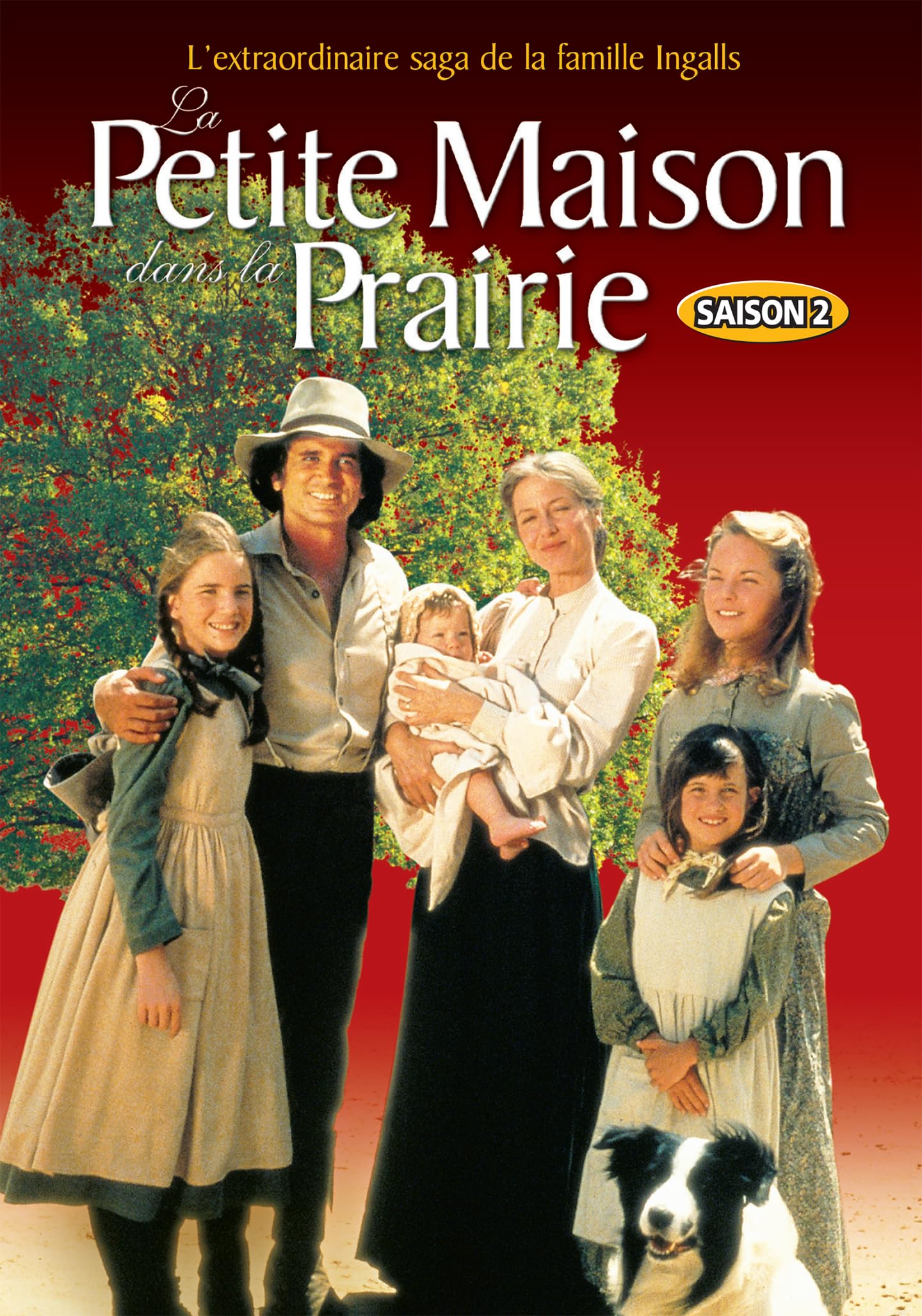 Little House On The Prairie: V2 (Version française) [DVD]