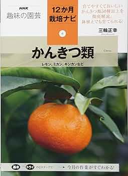 みかんページ かんきつ類―レモン、ミカン、キンカンなど (NHK趣味の園芸12か月