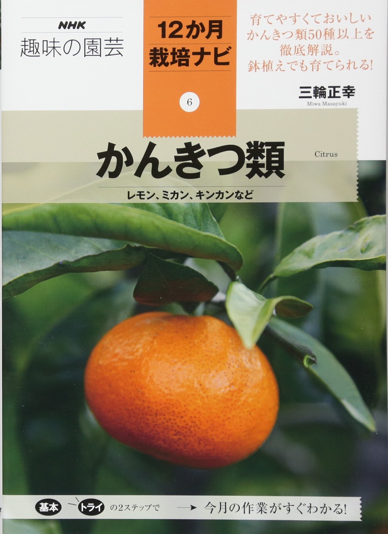 かんきつ類 レモン ミカン キンカンなど Nhk趣味の園芸12か月栽培ナビ 6 三輪 正幸 本 通販 Amazon