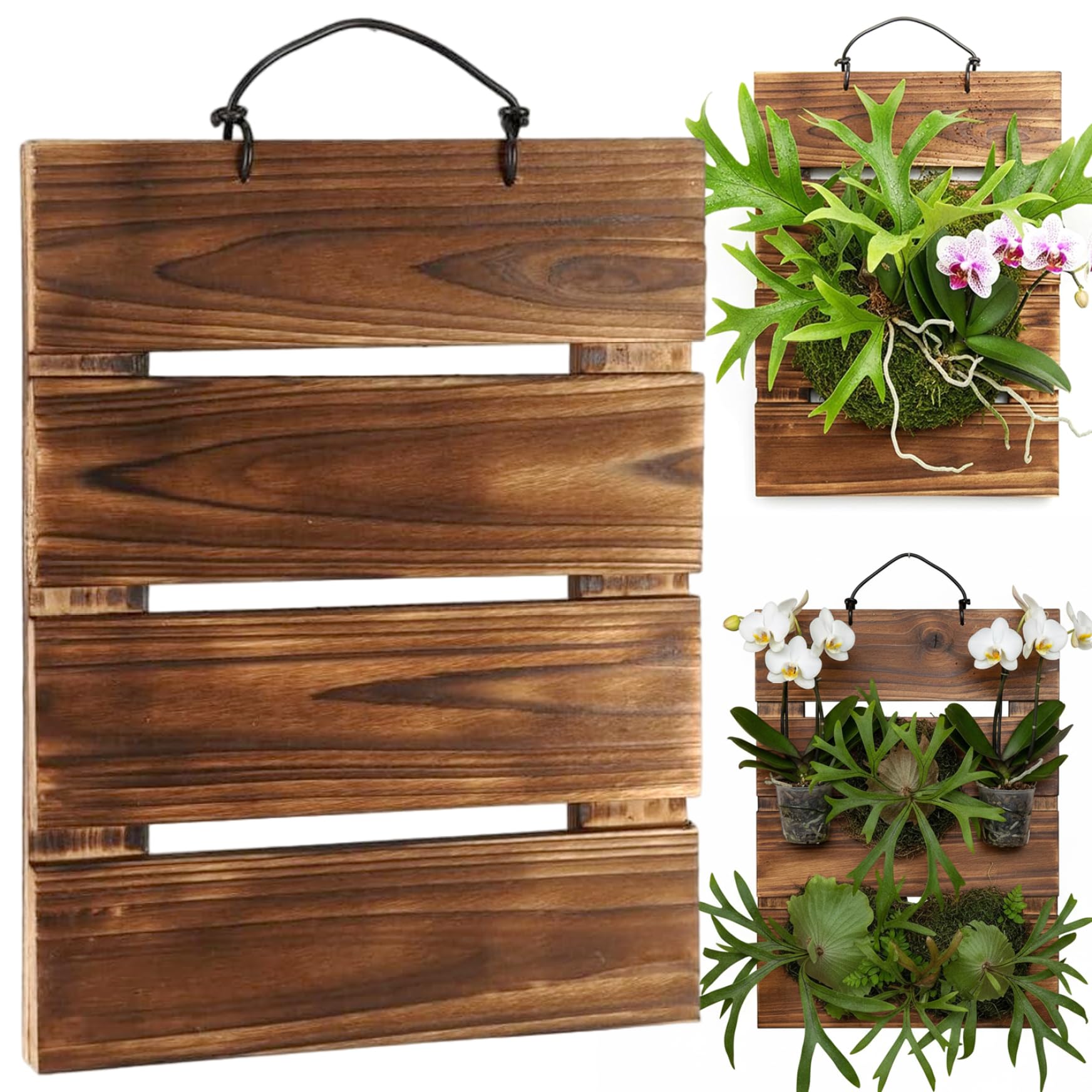 Awnsimfreien Brown Wall Plant Holder, Staghorn Fern Mount, Rectangular Wall Plant Holder 13X9 Mount Planter Kit For Staghorn Ferns, Orchids, Air Plants, Planter