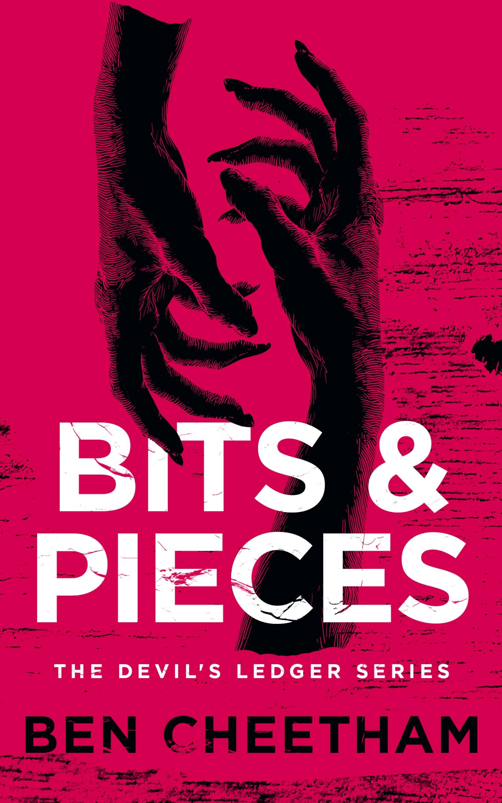 Bits and Pieces (The Devil's Ledger)