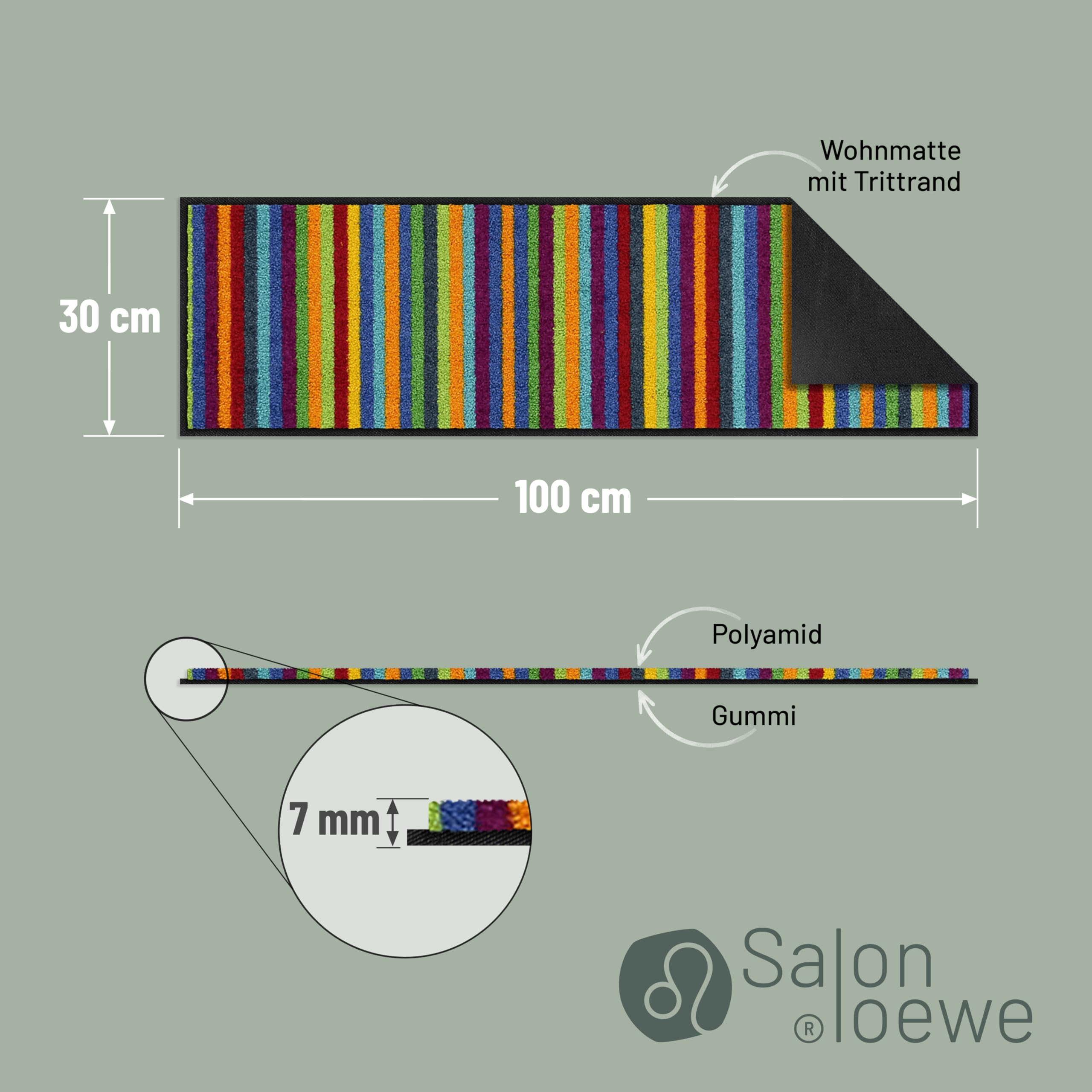 Salonloewe Mini tapis Lund multicolore I paillasson et paillasson pour intérieur 30 x 100 cm