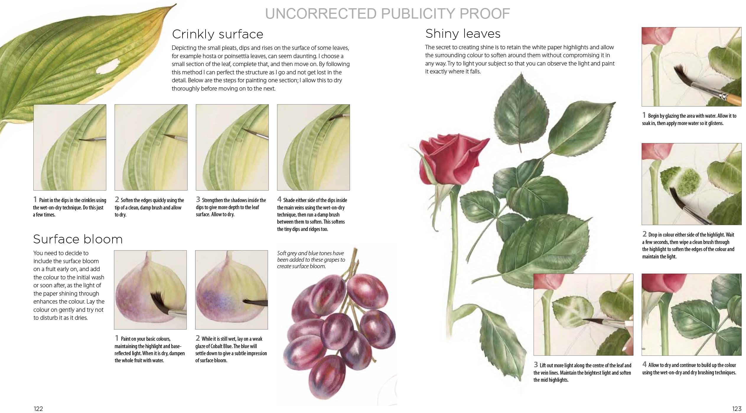 Billy Showell Botanical Painting Watercolour