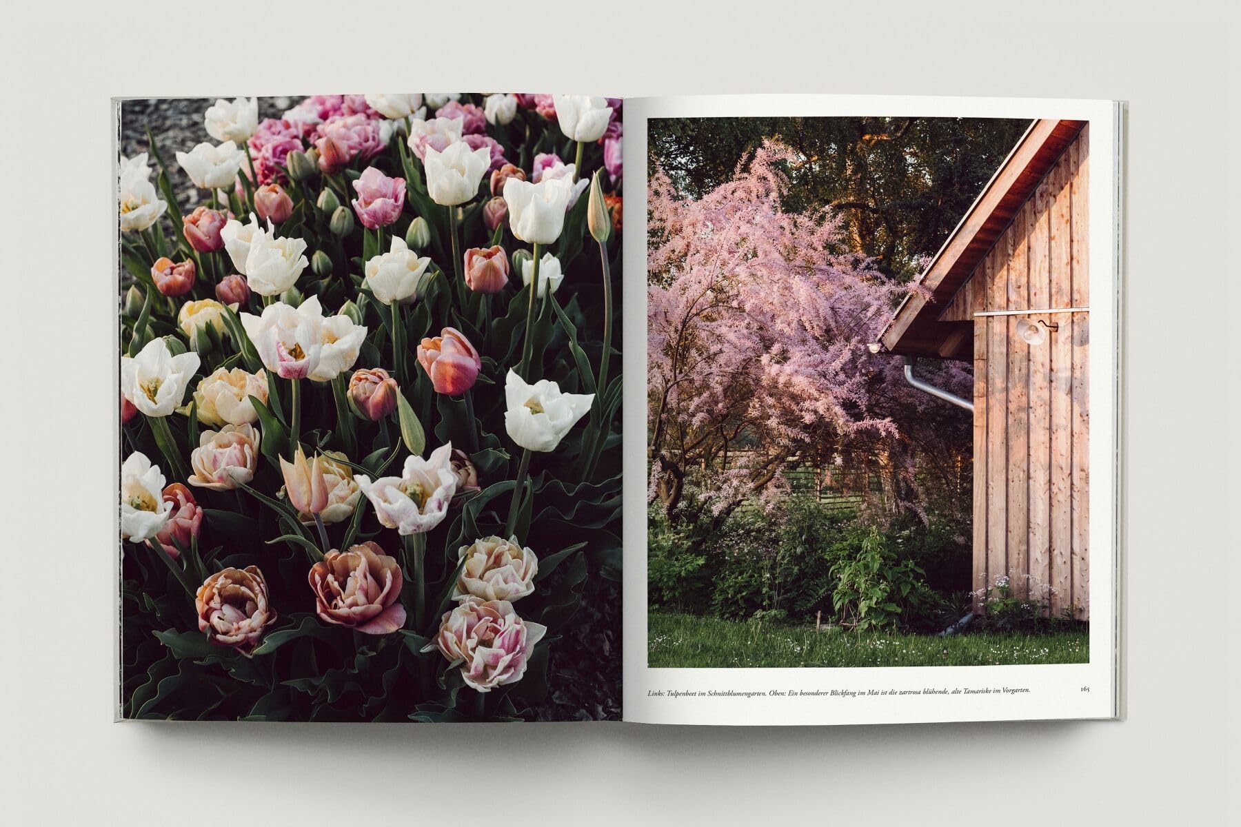 Zu den Wiesen: Vom naturnahen und artenreichen Gärtnern. Ein Gartenporträt. Das neue Buch zum Blog Krautkopf - Deutscher Gartenbuchpreis 2024