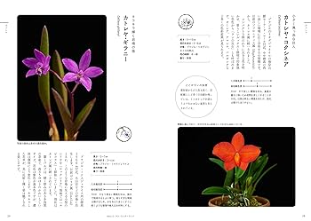 ときめくラン図鑑 (ときめく図鑑) | 清水 柾孝 |本 | 通販 | Amazon