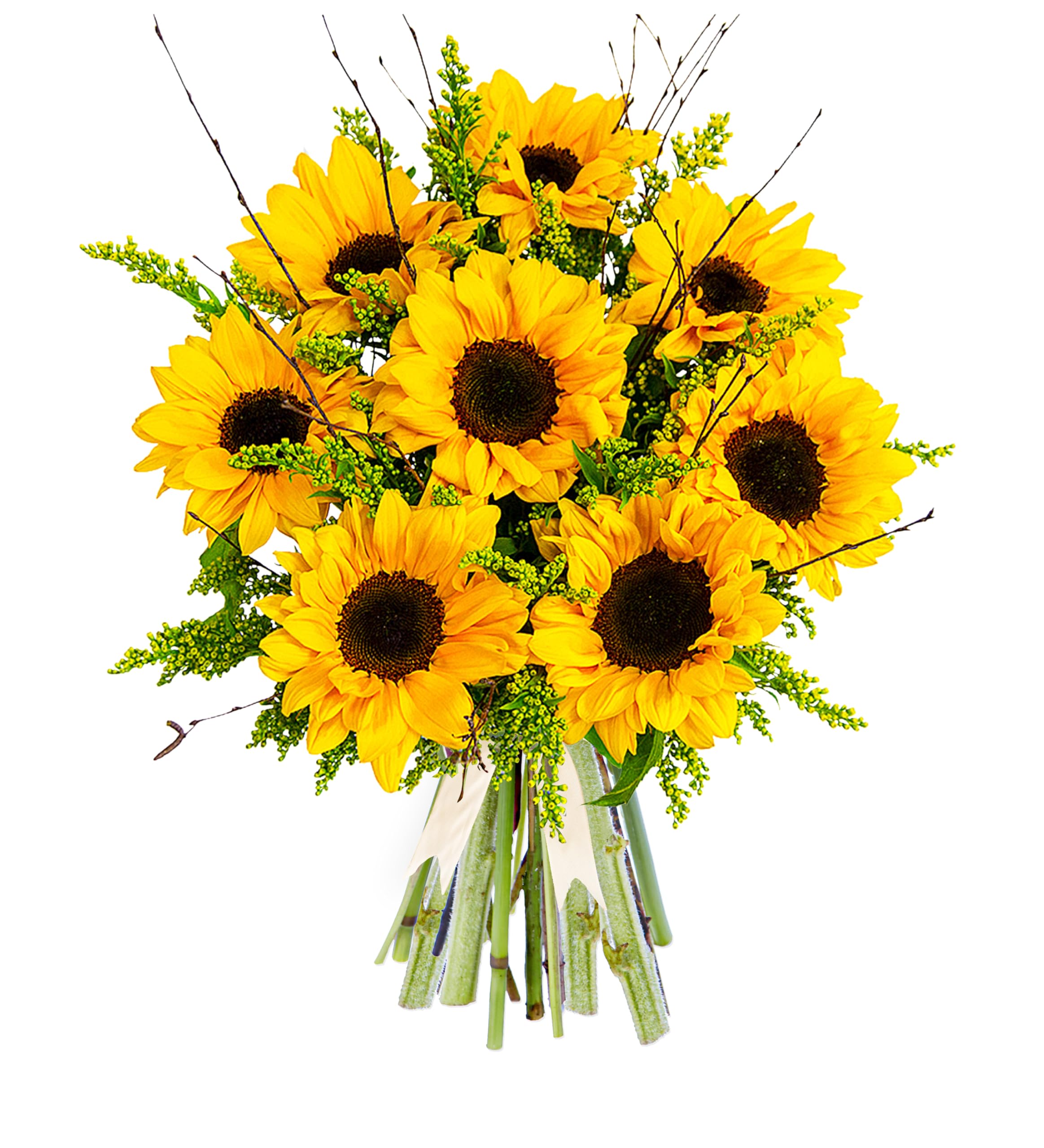 Sensational Sunflowers – Fresh Cut Flower Bouquet for Birthdays, Anniversaries, or Thank You Gifts – Bright and Cheerful Floral Surprise (Large)