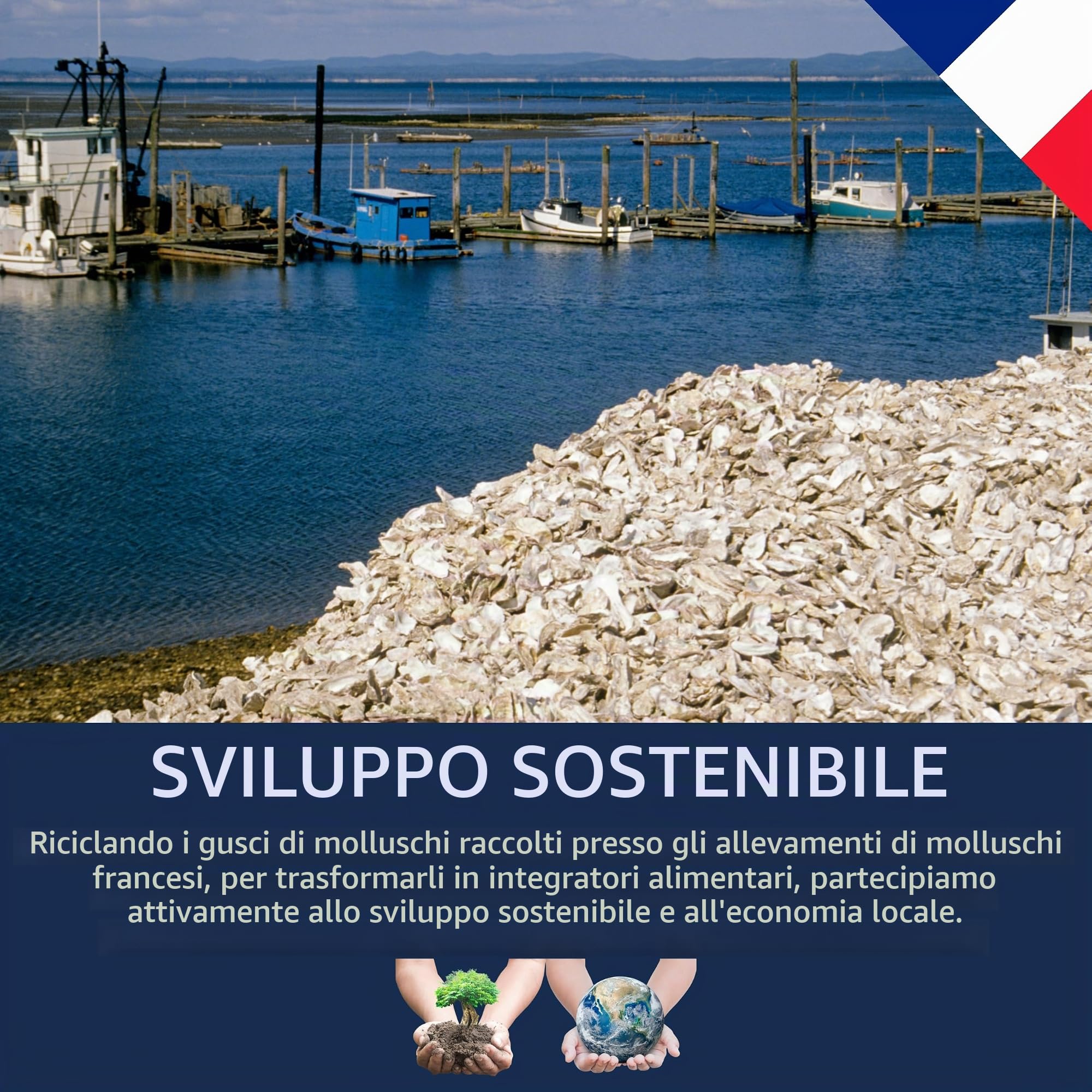 Chick'N Deluxe Calcium Booster 4Kg Gusci Ostrica Galline Ovaiole