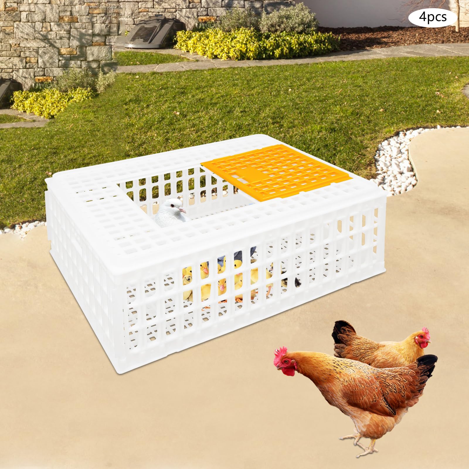 Lot de 4 caisses de transport pour volaille 77 x 55,5 x 27 cm - Avec porte coulissante et poignées de transport - Capacité de charge de 200 kg - Extra robuste - Pour volaille, poulet, canard, oie