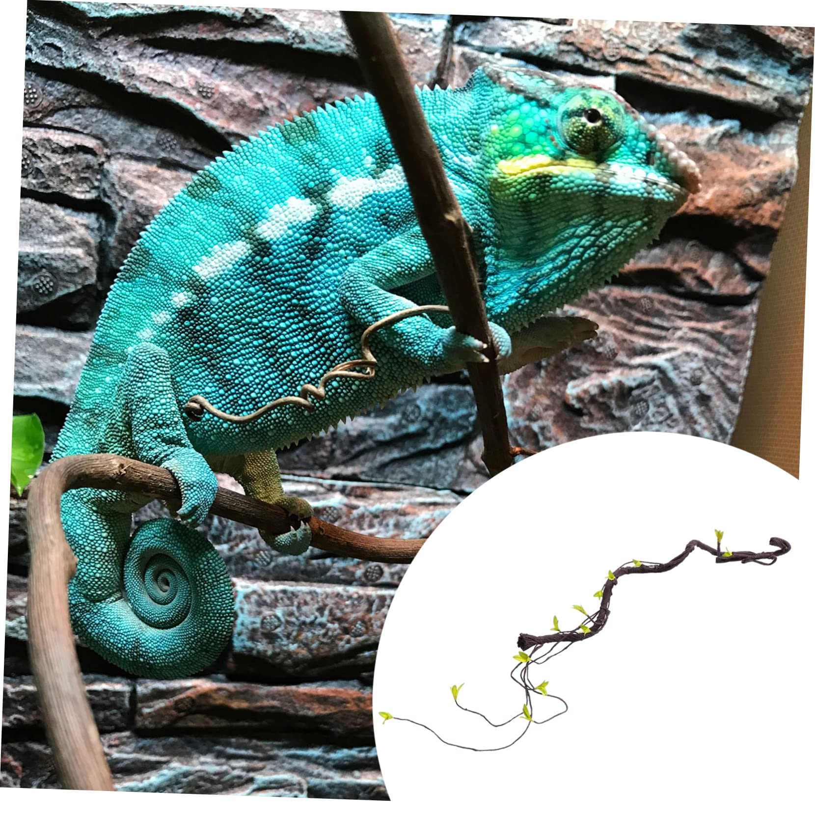 Housoutil 2stücke Künstliche Rattan-kletterpflanze Für Terrarien Flexibel Und Wiederverwendbar Für Reptilien Lange Simulation Von Tropischen Pflanzen Stressreduzierende Dekoration Für