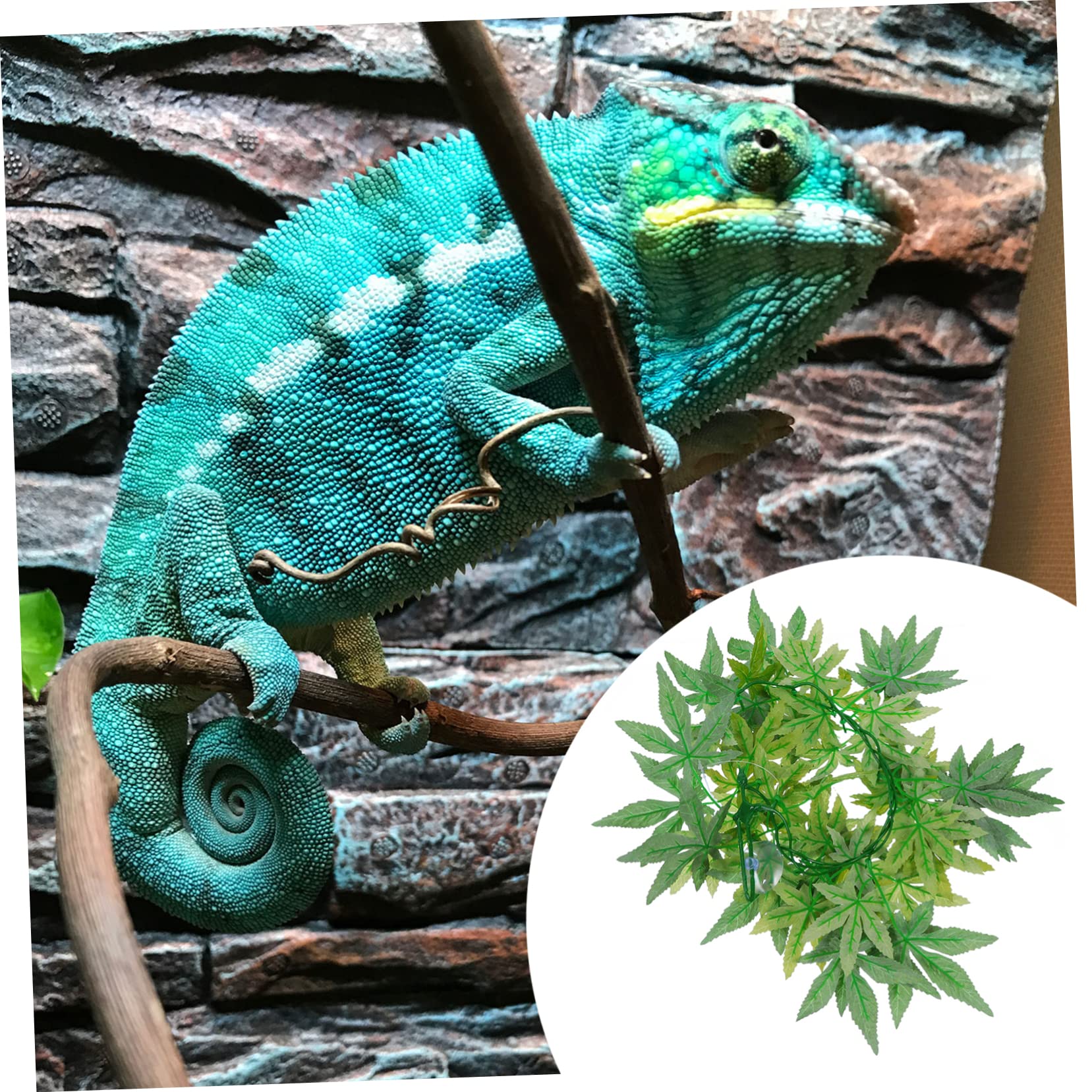 VALICLUD Vigne Artificielle Suspendue pour Terrarium Reptiles et Gecko Plante Décorative Rotin Faux pour Habitat Jungle avec Imperméables