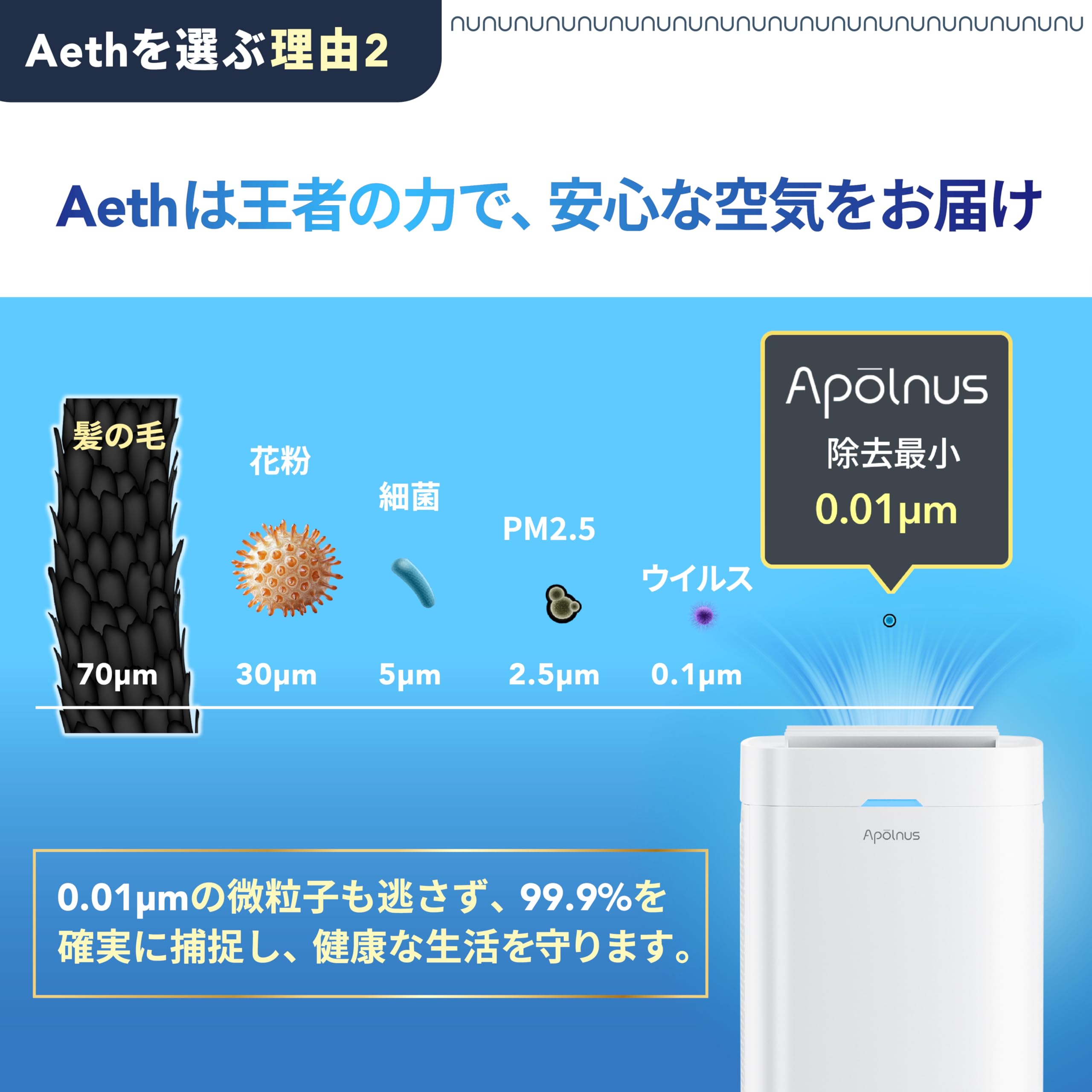 Amazon.co.jp: 【交換不要・水洗い可】Apolnus (アポルナス) 空気清浄