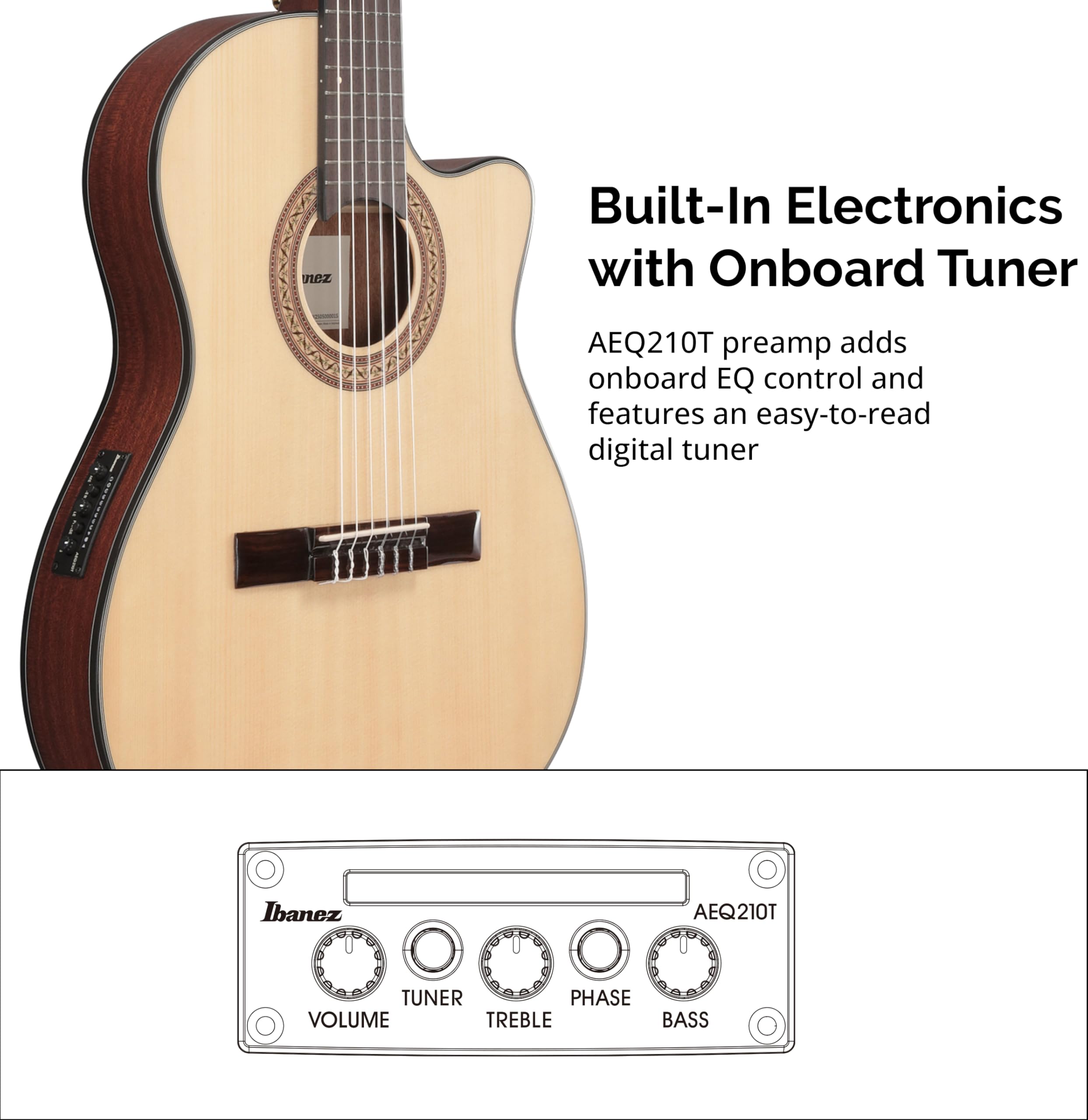 Amazon | Ibanez(アイバニーズ) エレガット Natural High Gloss