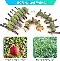 Vista 4 de ERKOON Juguetes masticables de conejo, juguetes masticables de conejo para rechinar los dientes, mejorar la salud dental, 100% madera de manzana