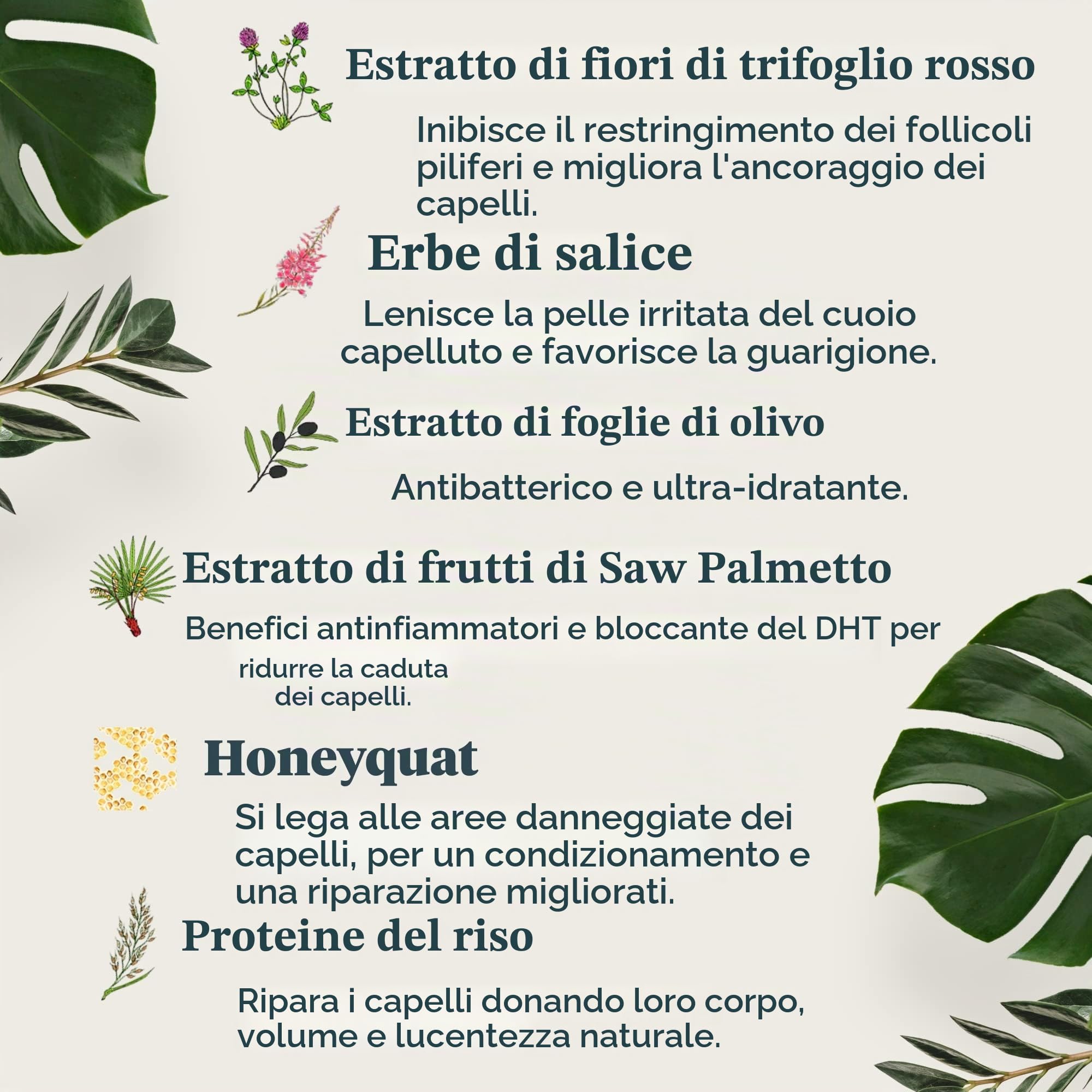 Revive Procare - Shampoo Volumizzante ANTICADUTA Capelli. Stimola La Ricrescita Sana Del Capello, Ripulisce Il Cuoio Capelluto Da Forfora, Residui Ambientali e Tossine - (1 x 300ml)