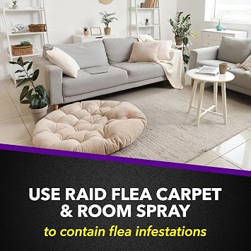 Raid Flea Killer Carpet & Room Spray, Kills hatching eggs for up to 4 months, 16 Oz
