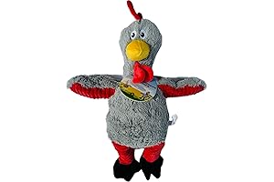 Superhero Dog Will Fight for You with Super Chickens