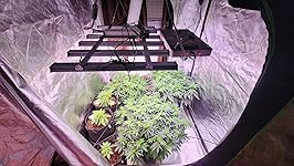 Review Image by David Carpenter