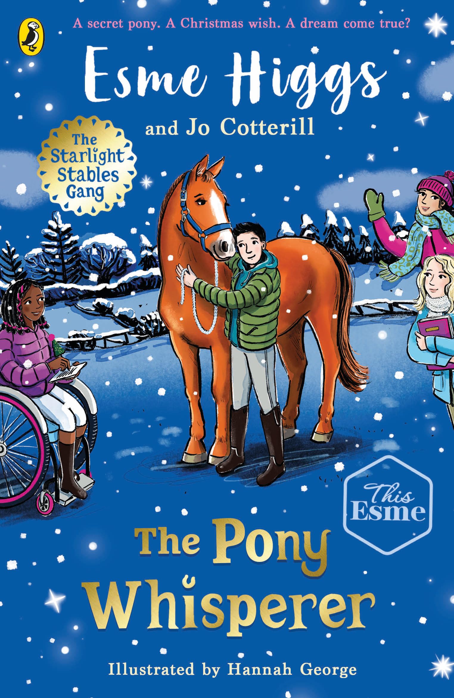 The Pony Whisperer by Esme Higgs (Paperback Book)