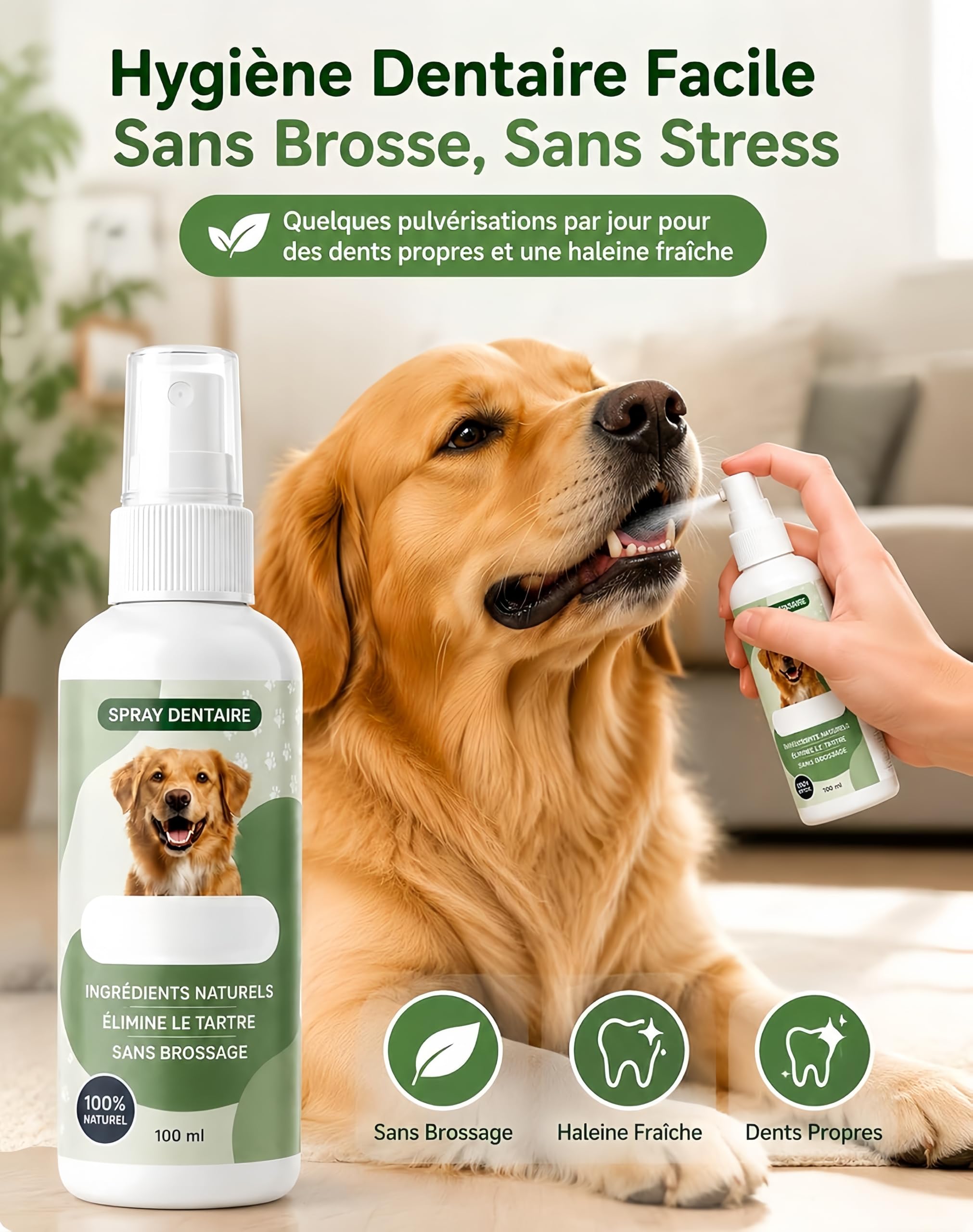 Everly Spray Dentaire Chien Antitartre Haleine Fraîche sans Brossage