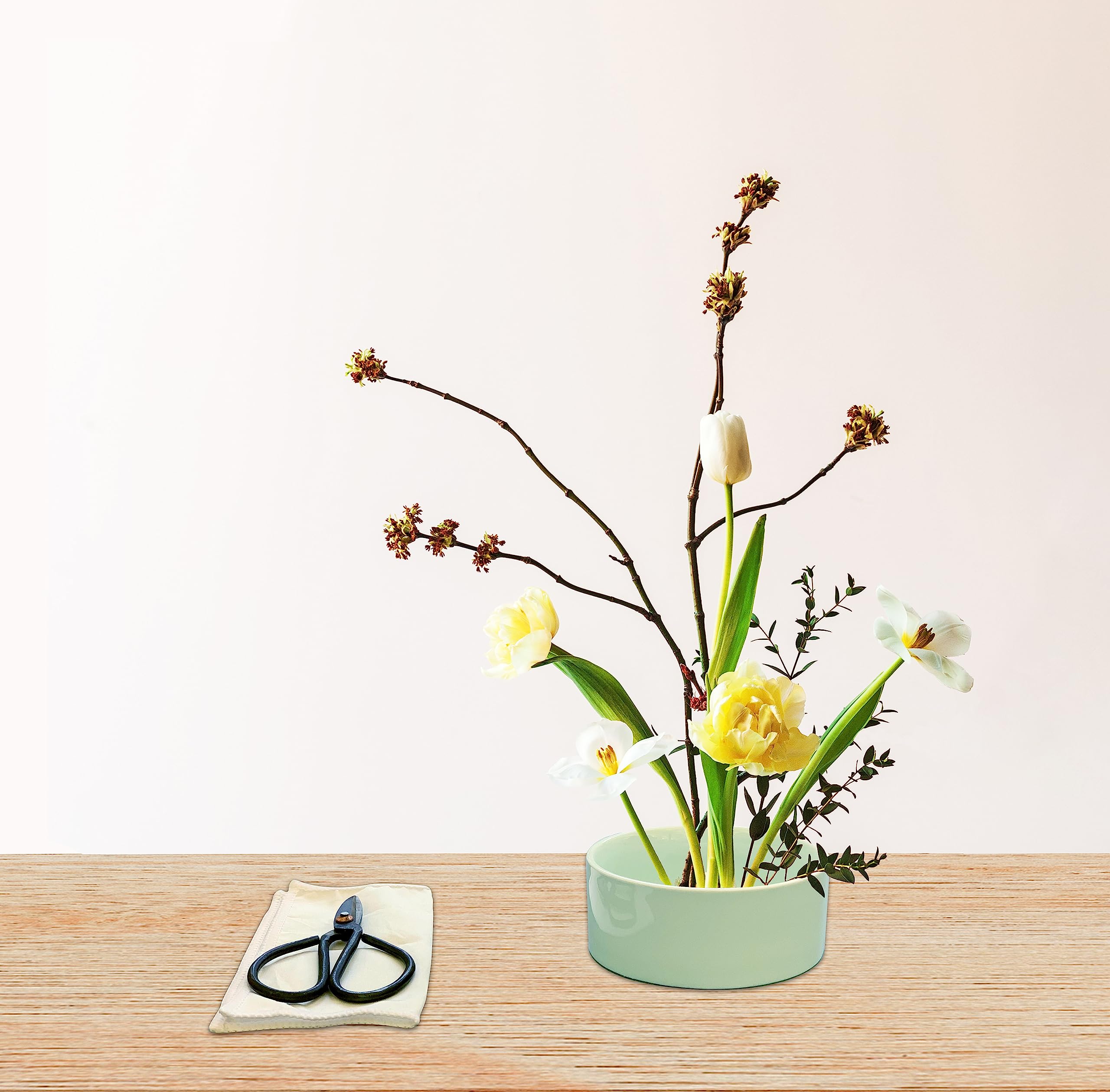 Kikkerland - Mini-Kit von Ikebana