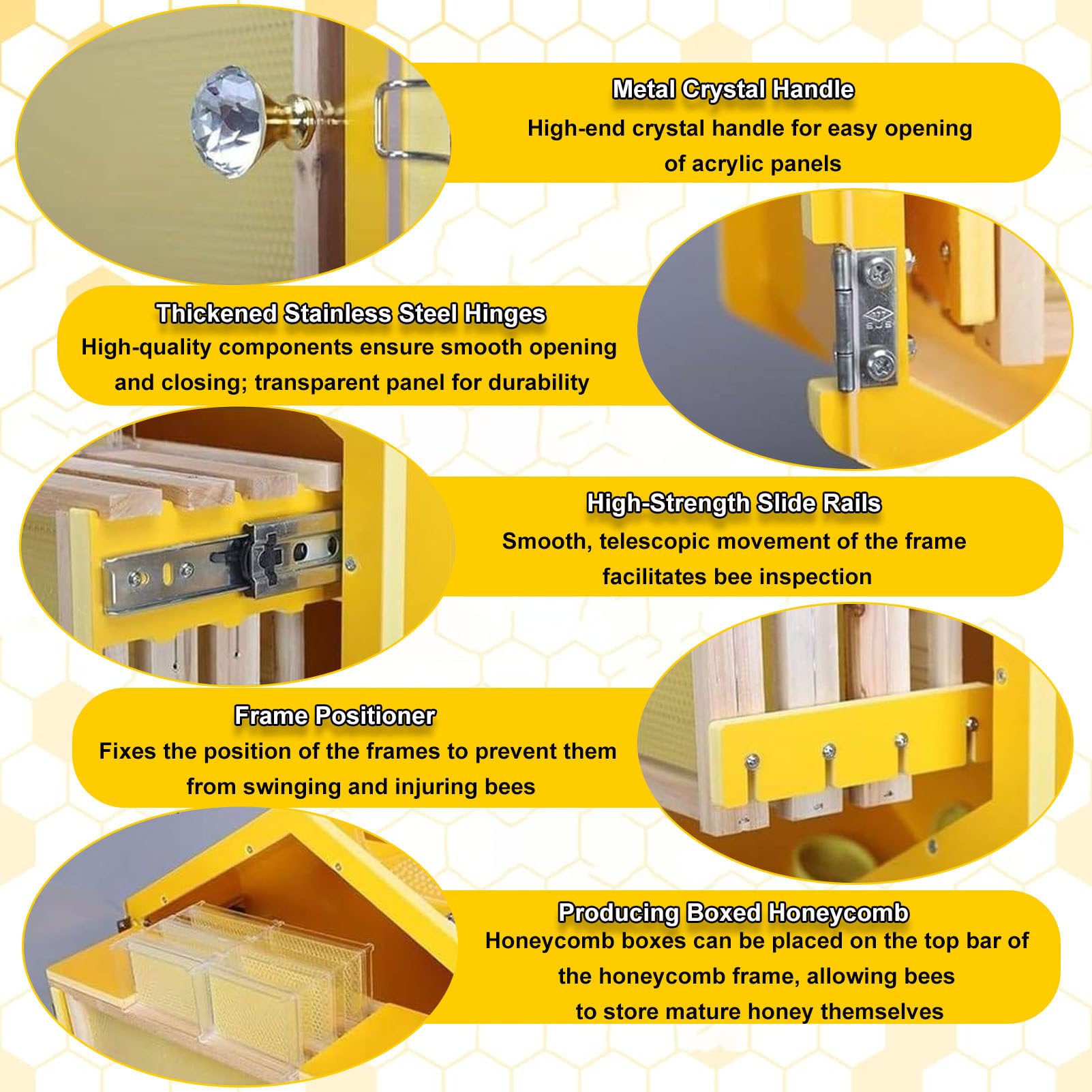 Caja para Colmena con Ventanas de observación, Kit Completo para Principiantes, para cría de Abejas en Interiores, fácil observación, con 3 Marcos y Caja de Miel de 6 panales.