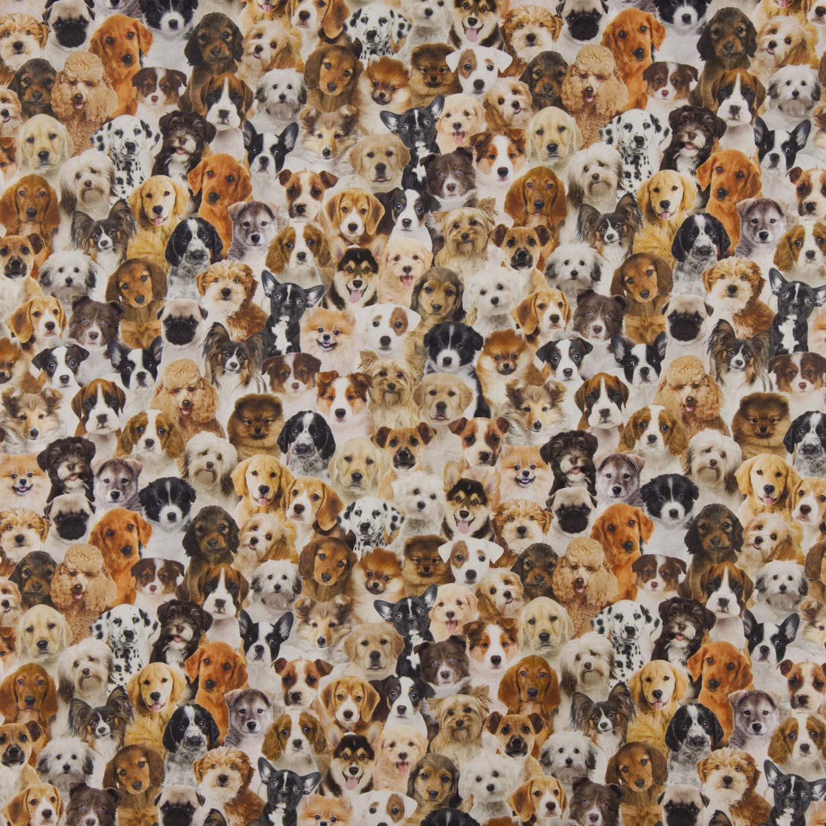 SCHÖNER LEBEN. Zugluftstopper Digitaldr. Hunde Welpen braun weiß schwa, Auswahl:120cm Länge