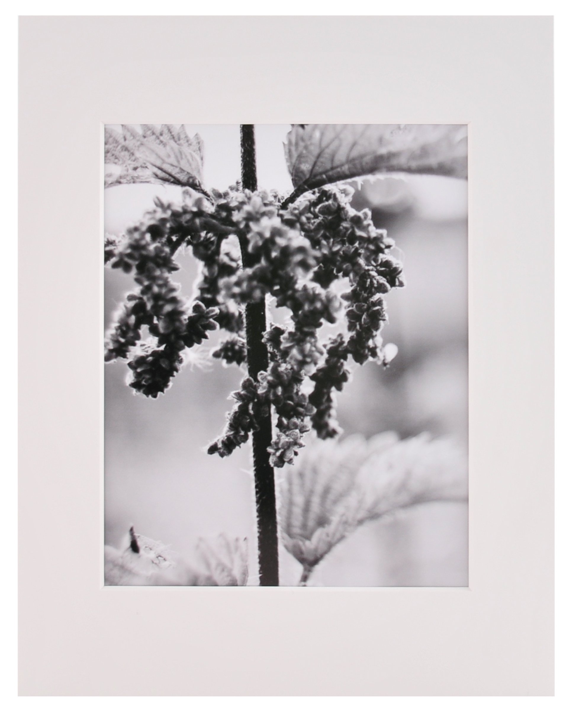 MAT PORT 11X14/8X10 WHT