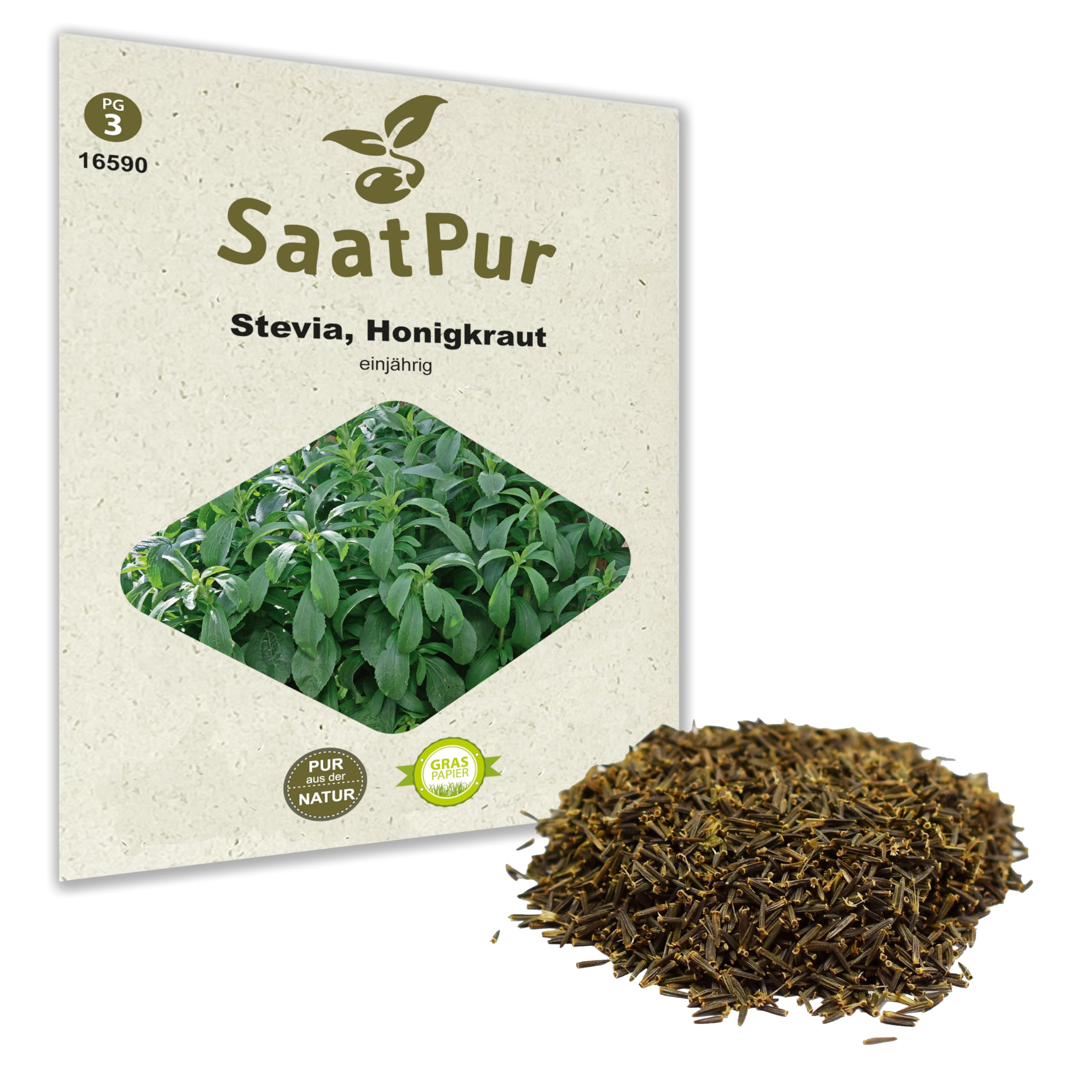 SaatPur Stevia Samen, Saatgut fr ca. 12 Pflanzen : Amazon.de: Lebensmittel  & Getrnke
