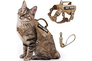 战术猫夹克: 防弹猫背心