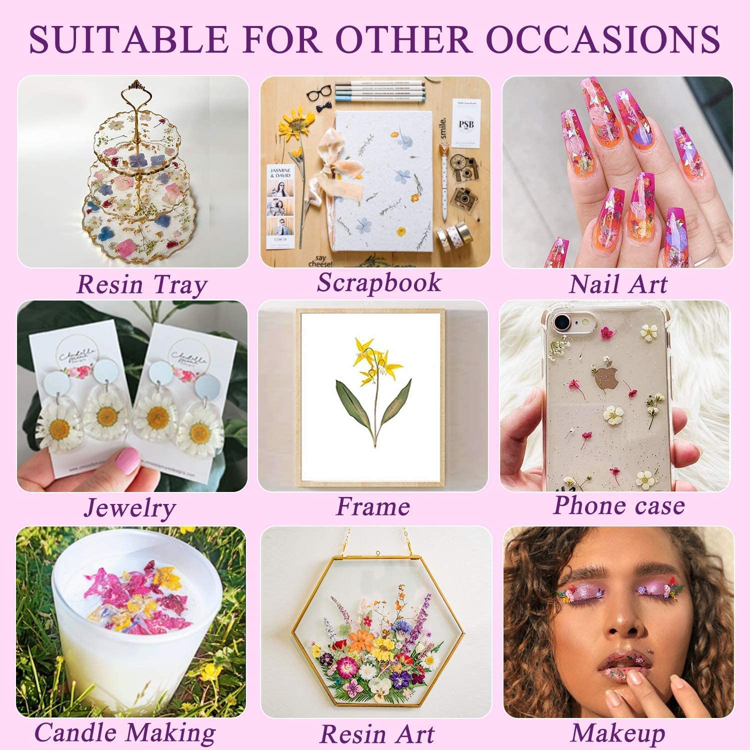 Fleurs Séchées Pressées Et Autocollants - Kit Créatif DIY Pour Scrapbooking, Résine, Cartes, Art Floral, Activités Parent-enfant - 3