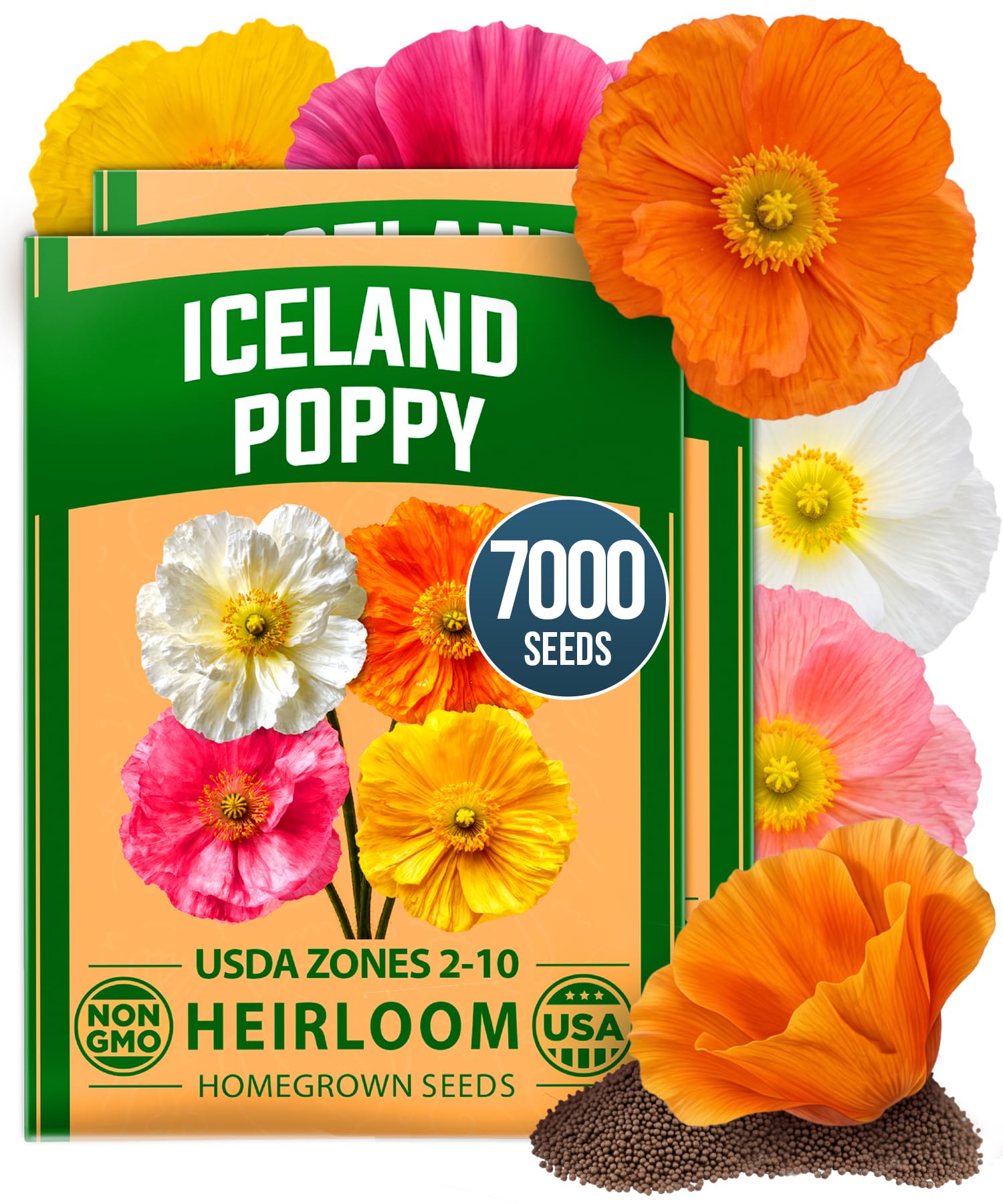 HOME GROWN Iceland Poppy Seeds, 7,000 Seeds, Papaver nudicaule