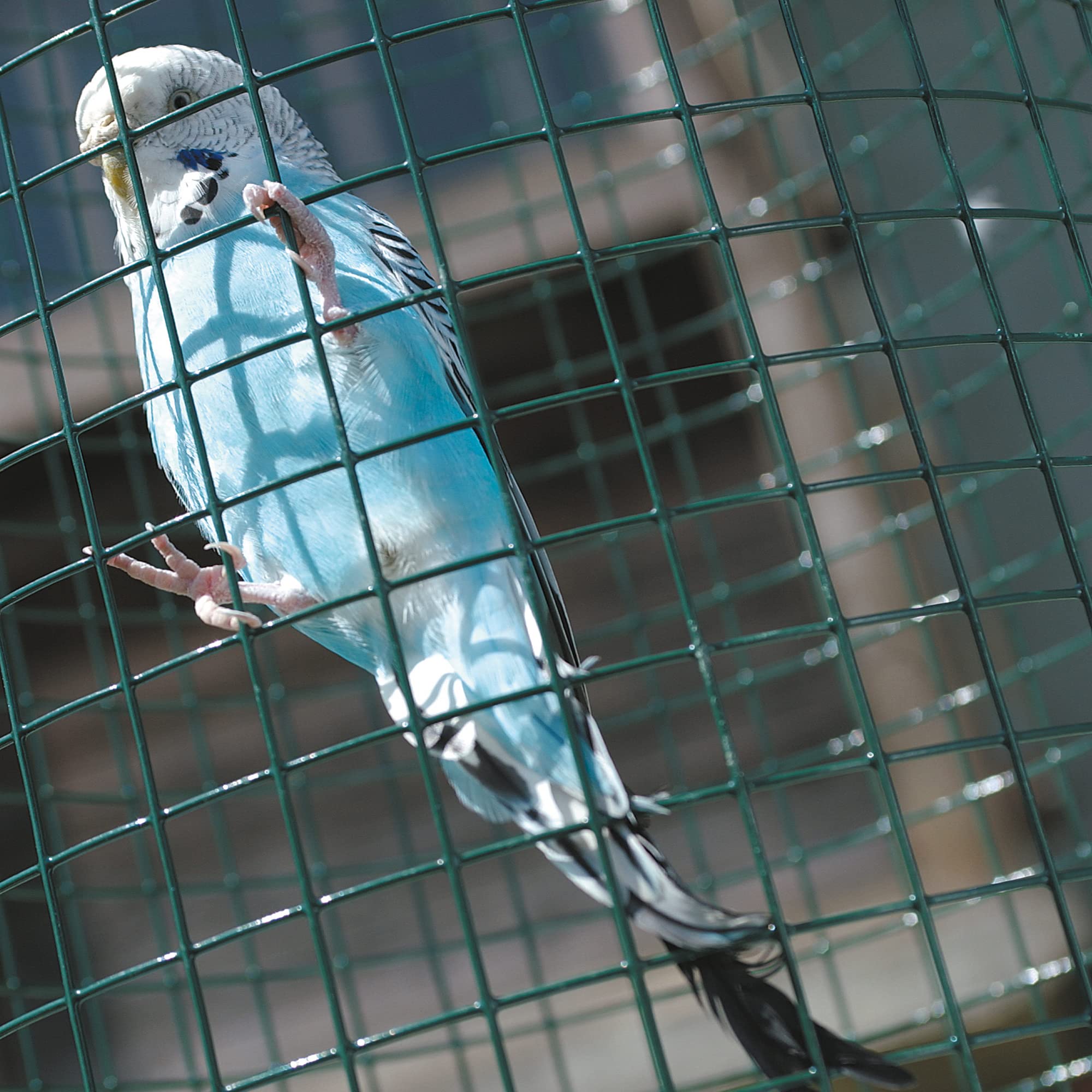 tenax Plamet 10, Rete Metallica Plastificata 1,00x5 m Verde per Gabbie e Recinti di Animali da Cortile (Polli, Conigli, Uccelli), Piccole recinzioni e Lavori Artigianali