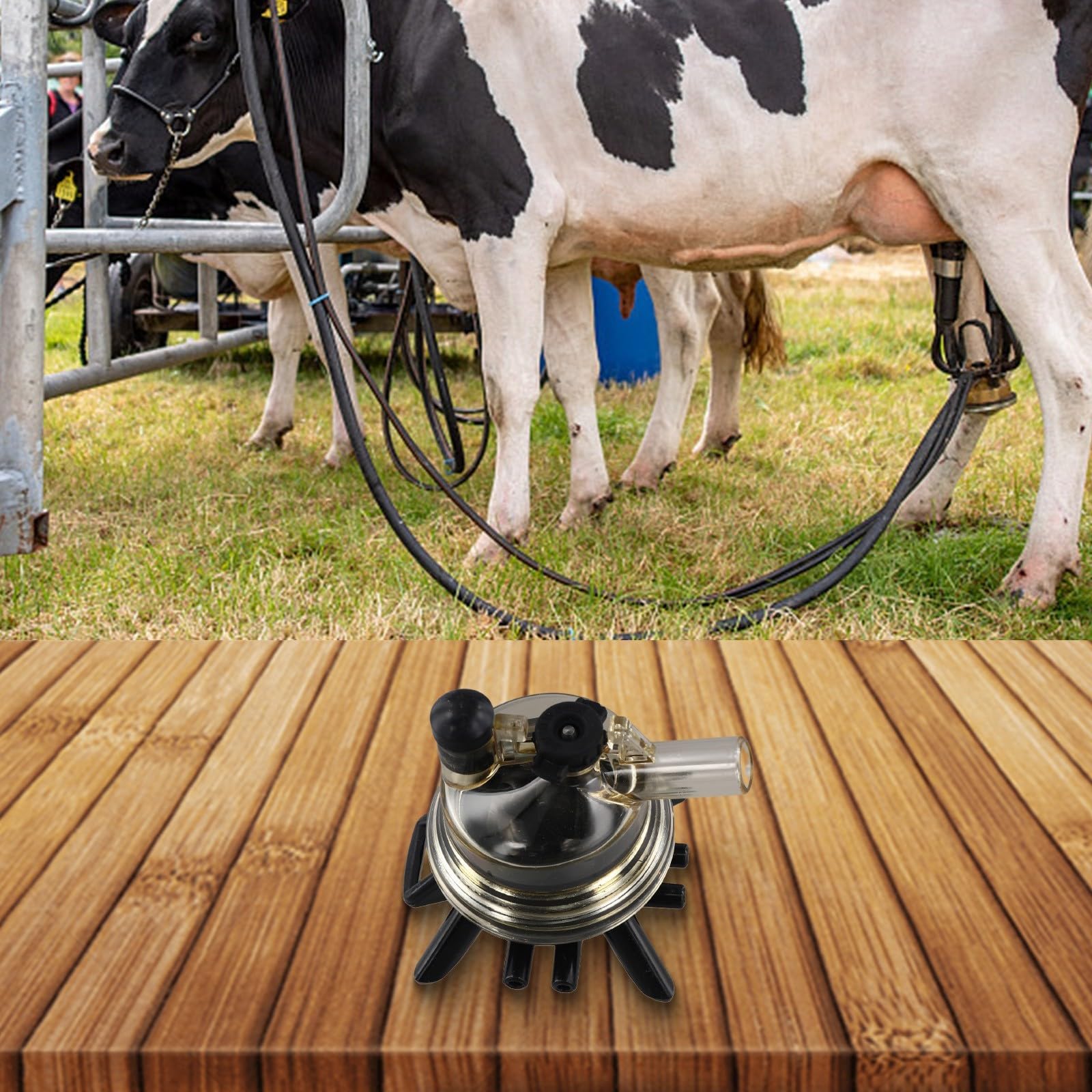 Artiglio di plastica del collettore del latte da 150 ml per la mungitrice delle pecore della mucca parte di ricambio dello strumento di latticini dell'azienda agricola Facile da installare