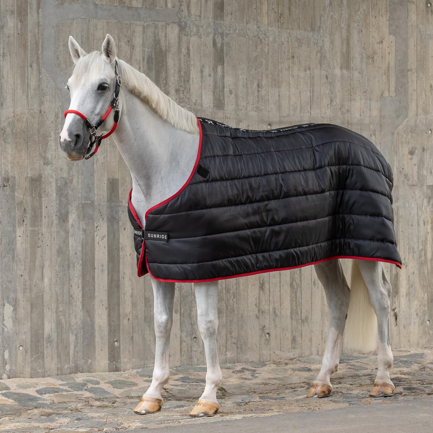 SUNRIDE Unterdecke für Pferde 300g - flexibel kombinierbar mit unseren Winterdecken und Regendecken (155 cm)