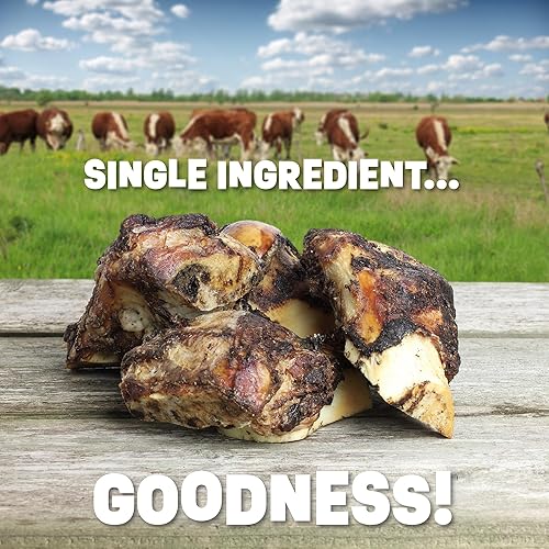 Miniatura 4 de Huesos de perro de un solo ingrediente, fabricados en Estados Unidos, huesos de fémur de carne de res, huesos naturales para masticadores agresivos,